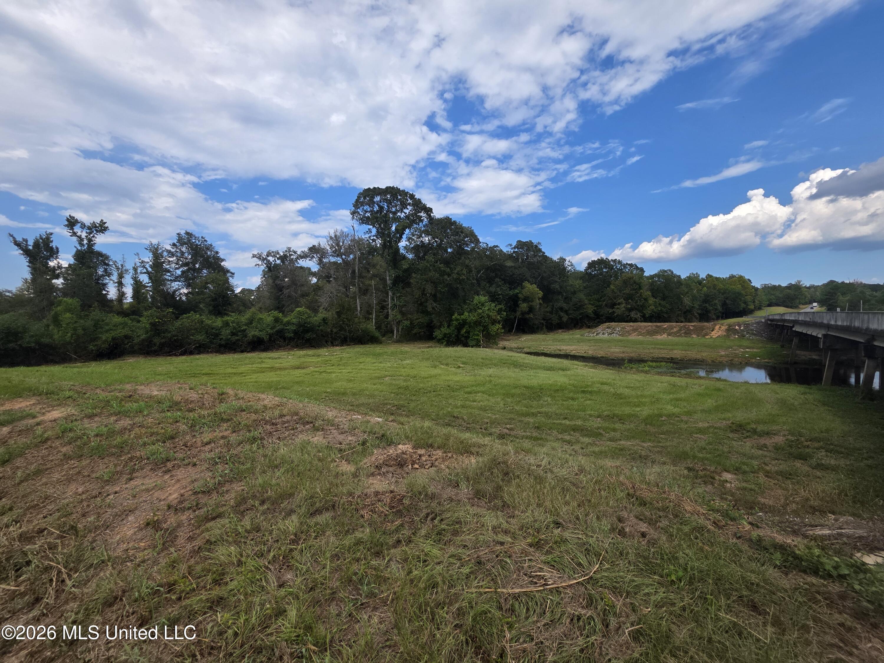 Bogue Chitto Road Property Photo 16
