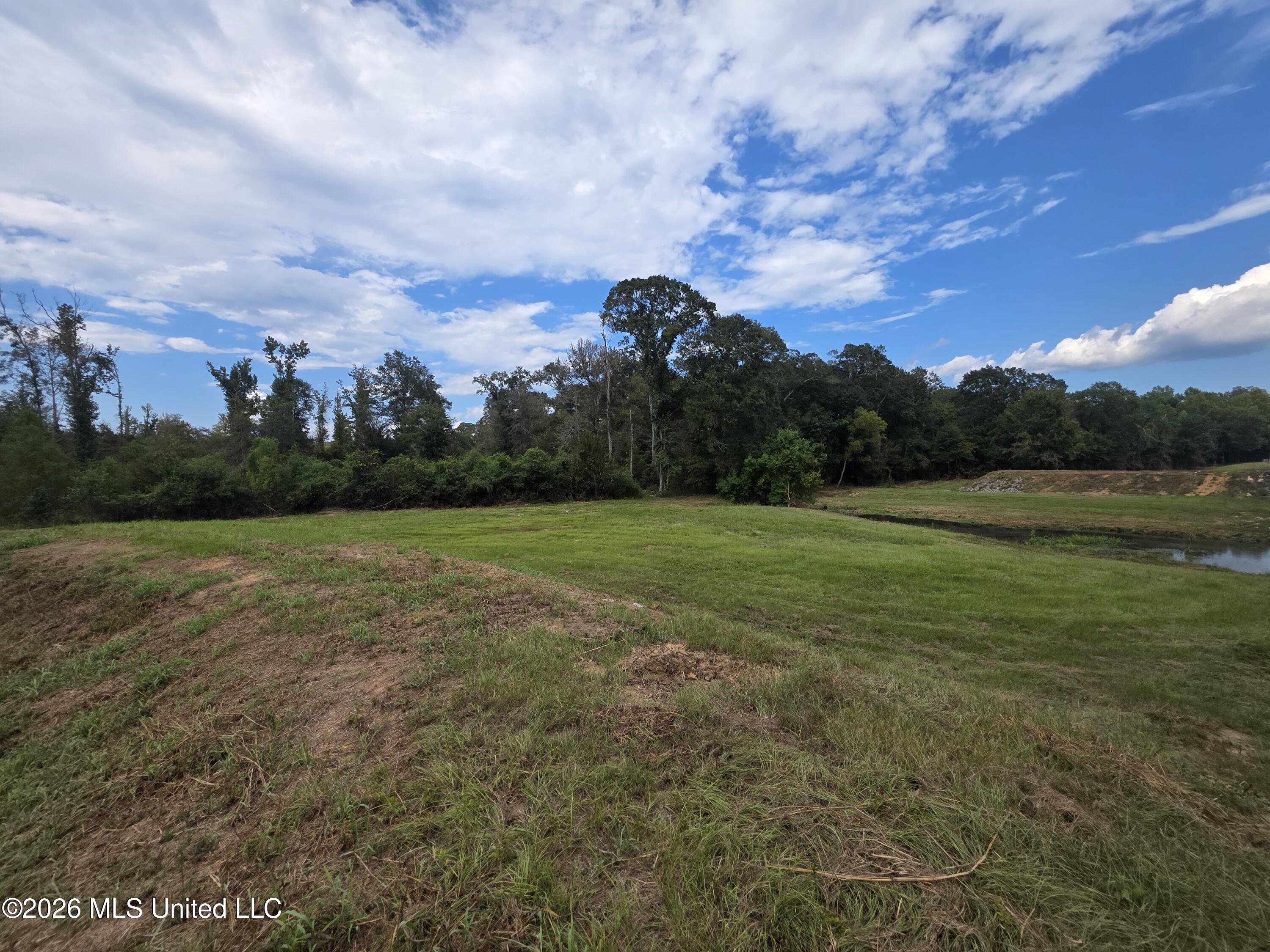 Bogue Chitto Road Property Photo 17