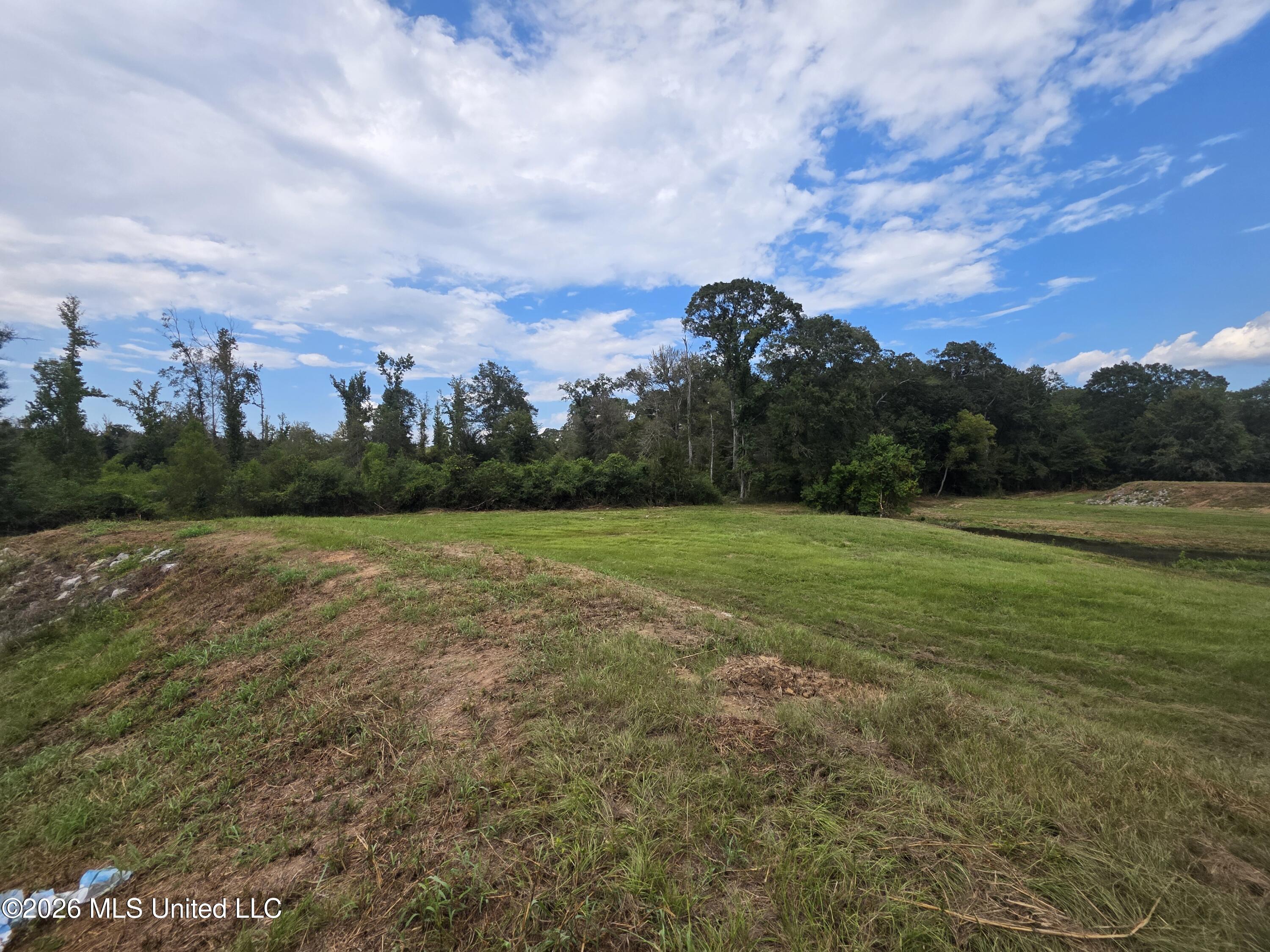 Bogue Chitto Road Property Photo 18
