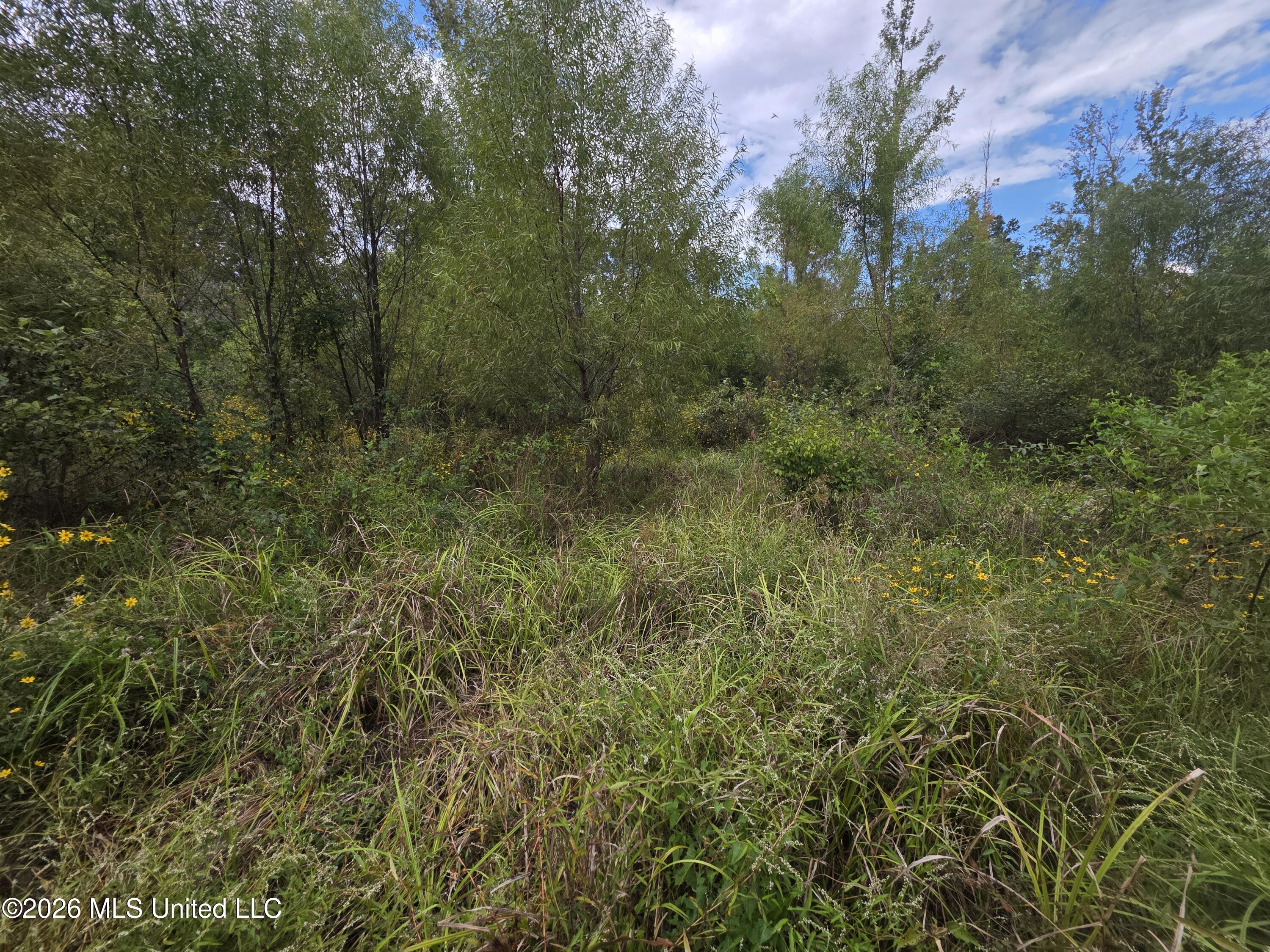 Bogue Chitto Road Property Photo 20