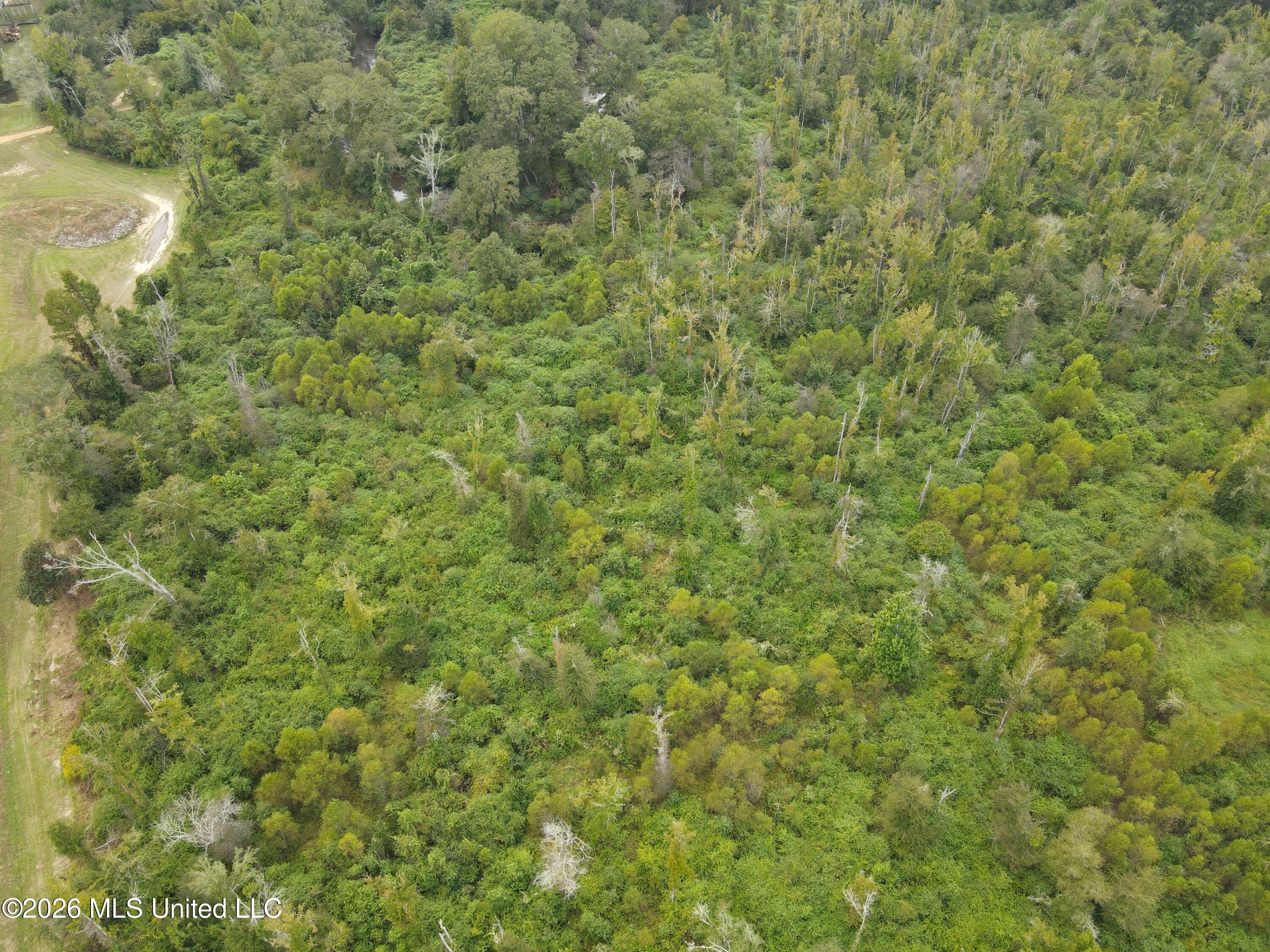 Bogue Chitto Road Property Photo 23