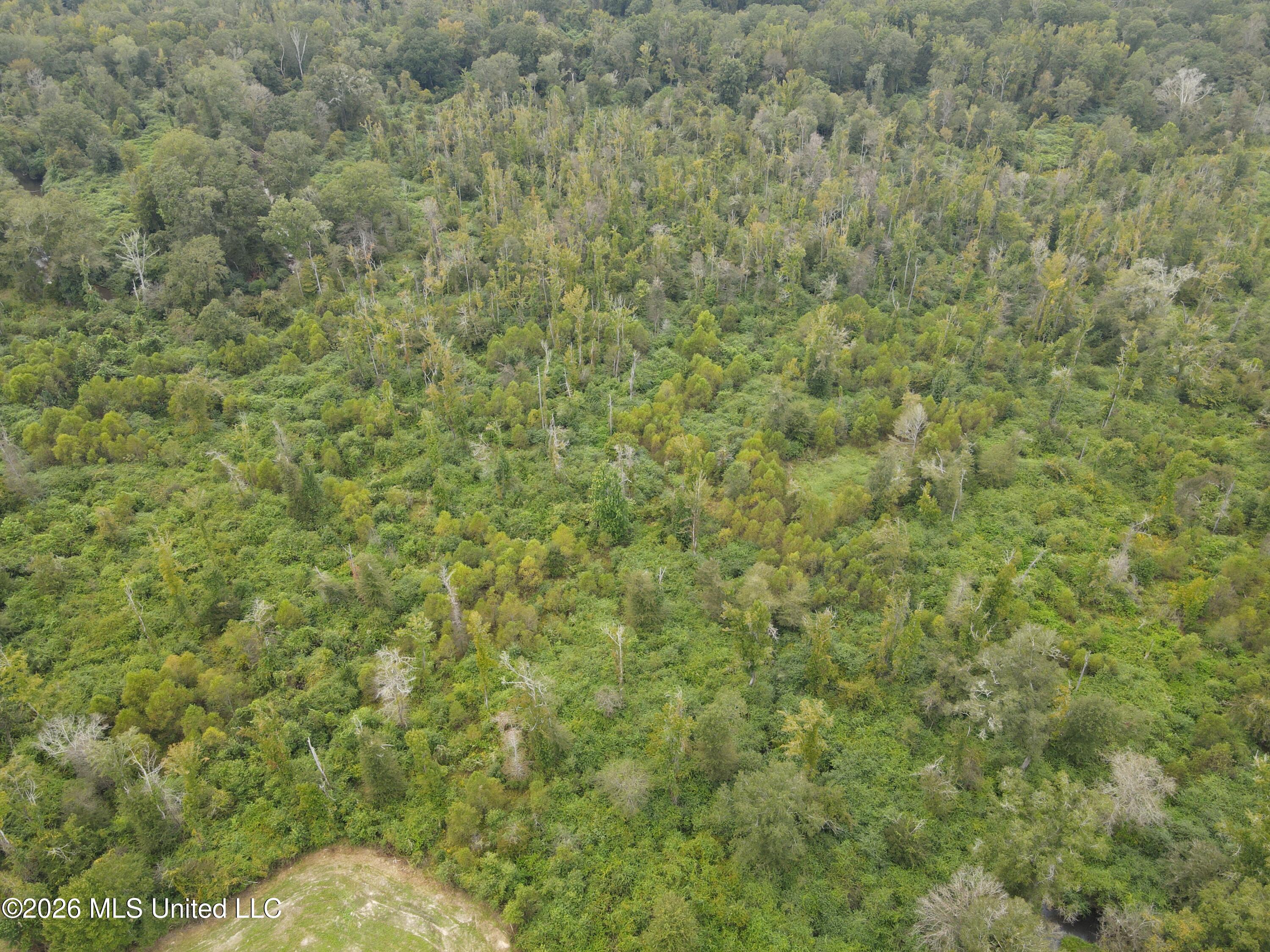 Bogue Chitto Road Property Photo 24