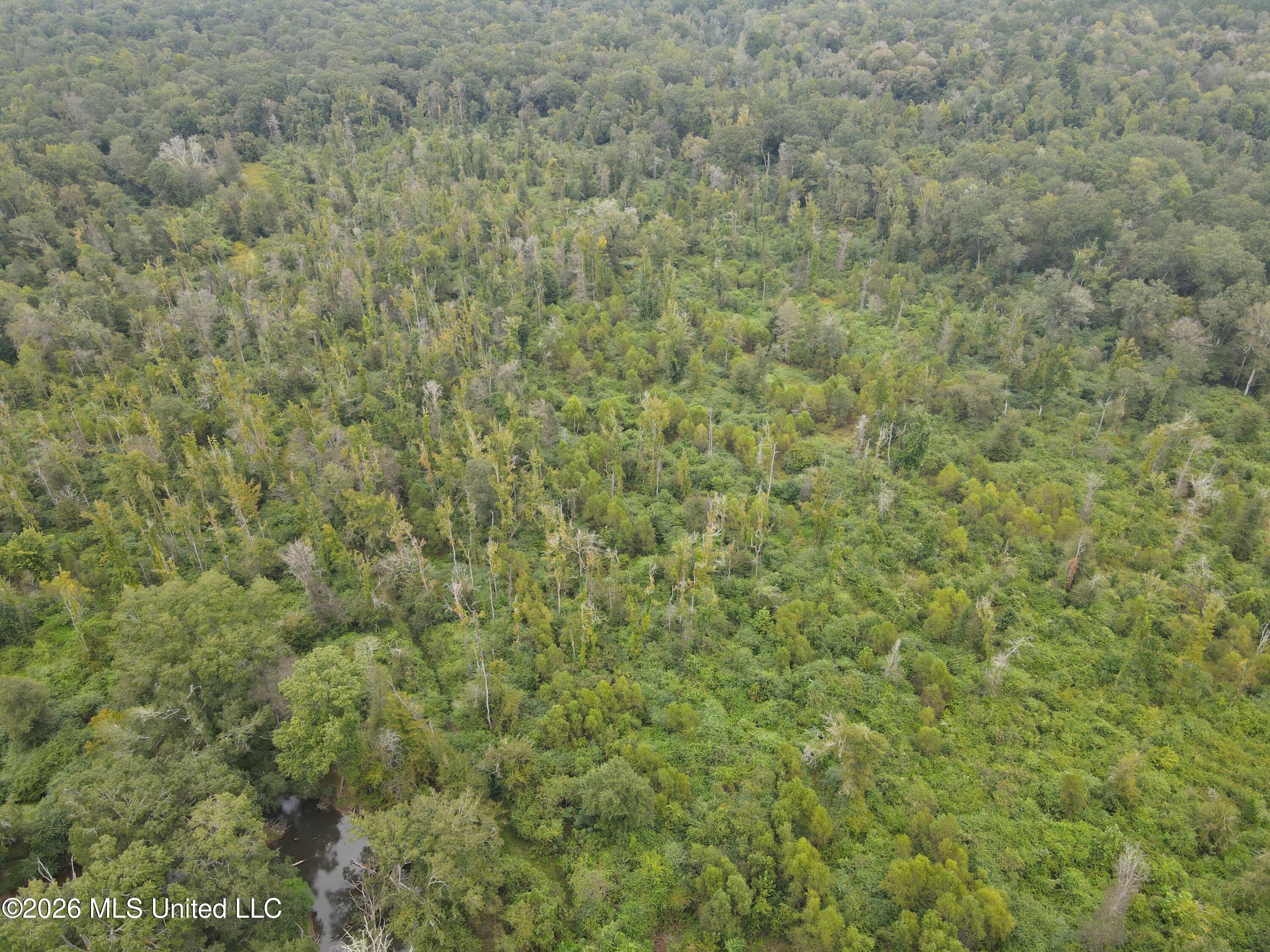 Bogue Chitto Road Property Photo 25