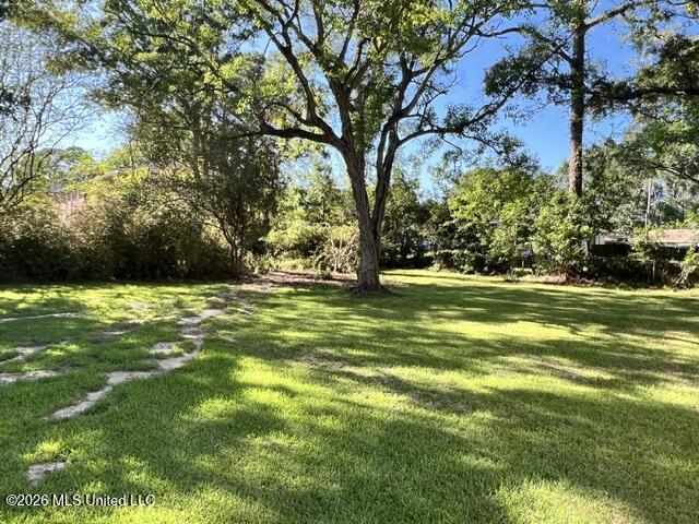 3505 Eden Street Property Photo 47