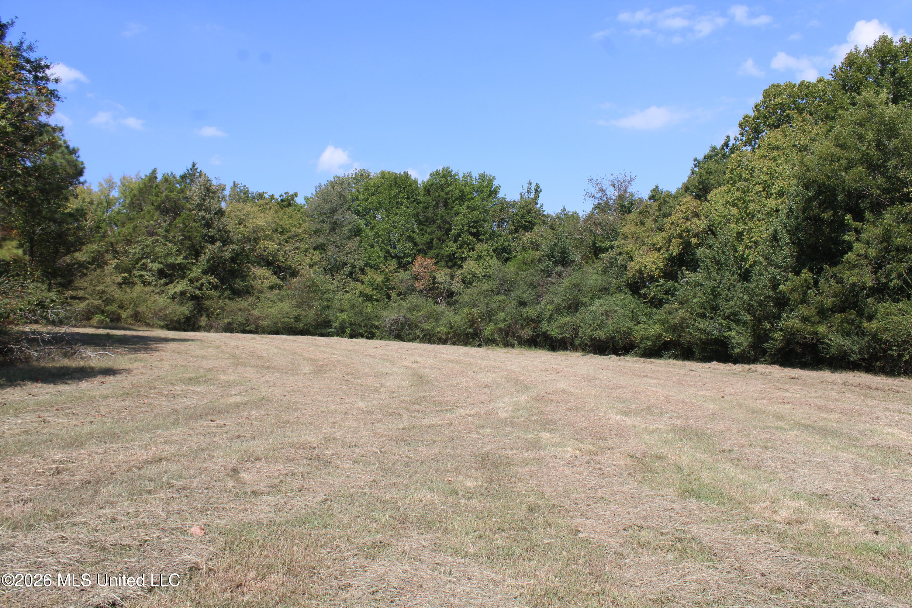 700 Mississippi 309 Property Photo 16