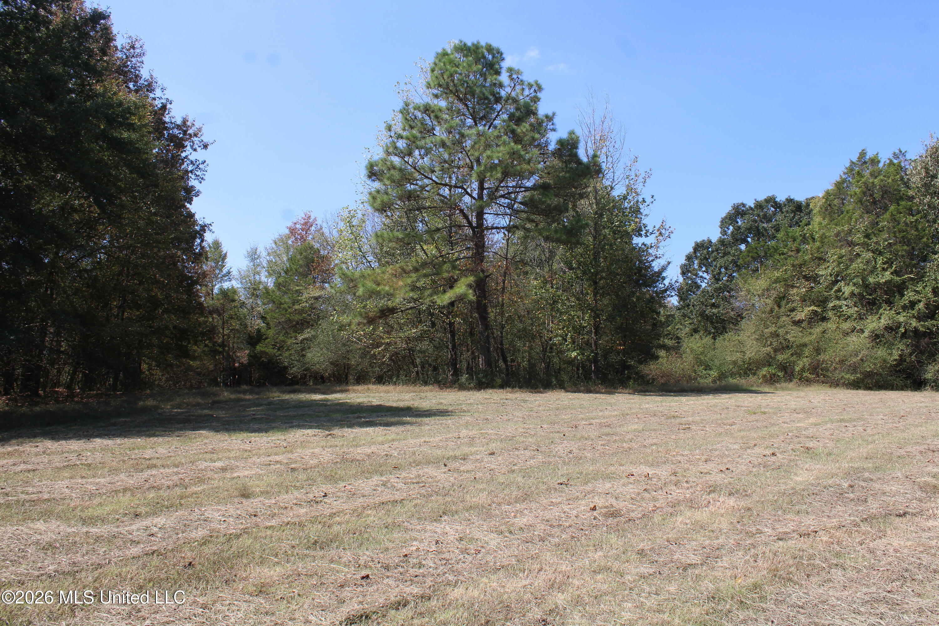 700 Mississippi 309 Property Photo 17