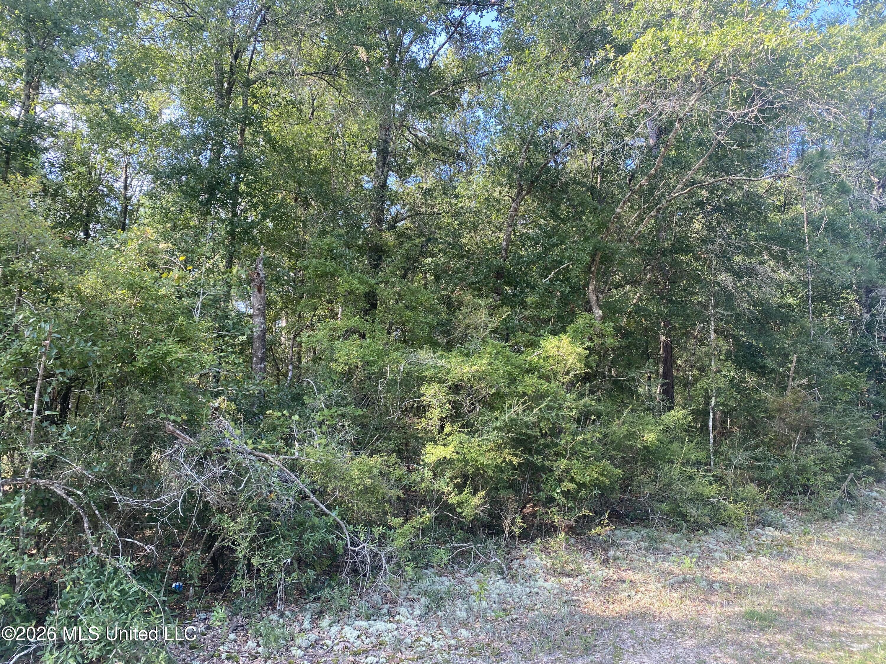 Grady Diamond Road Property Photo 2