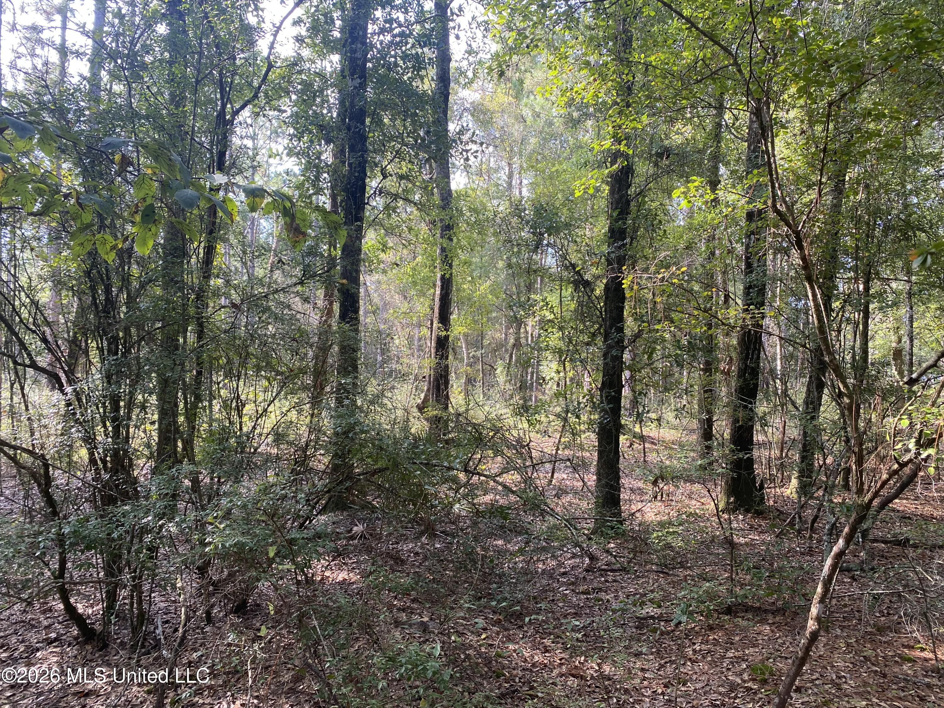 Grady Diamond Road Property Photo 3