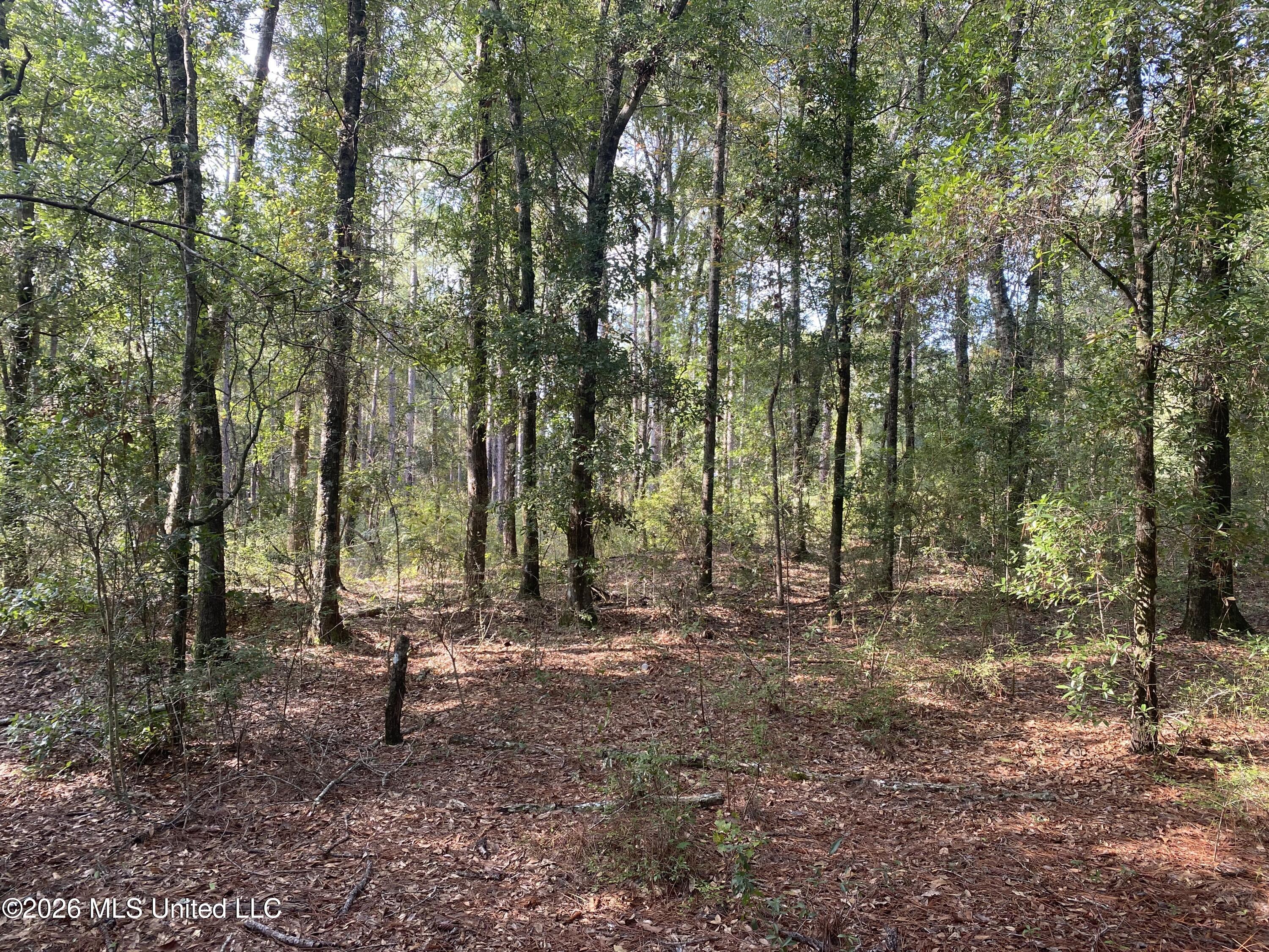 Grady Diamond Road Property Photo 4