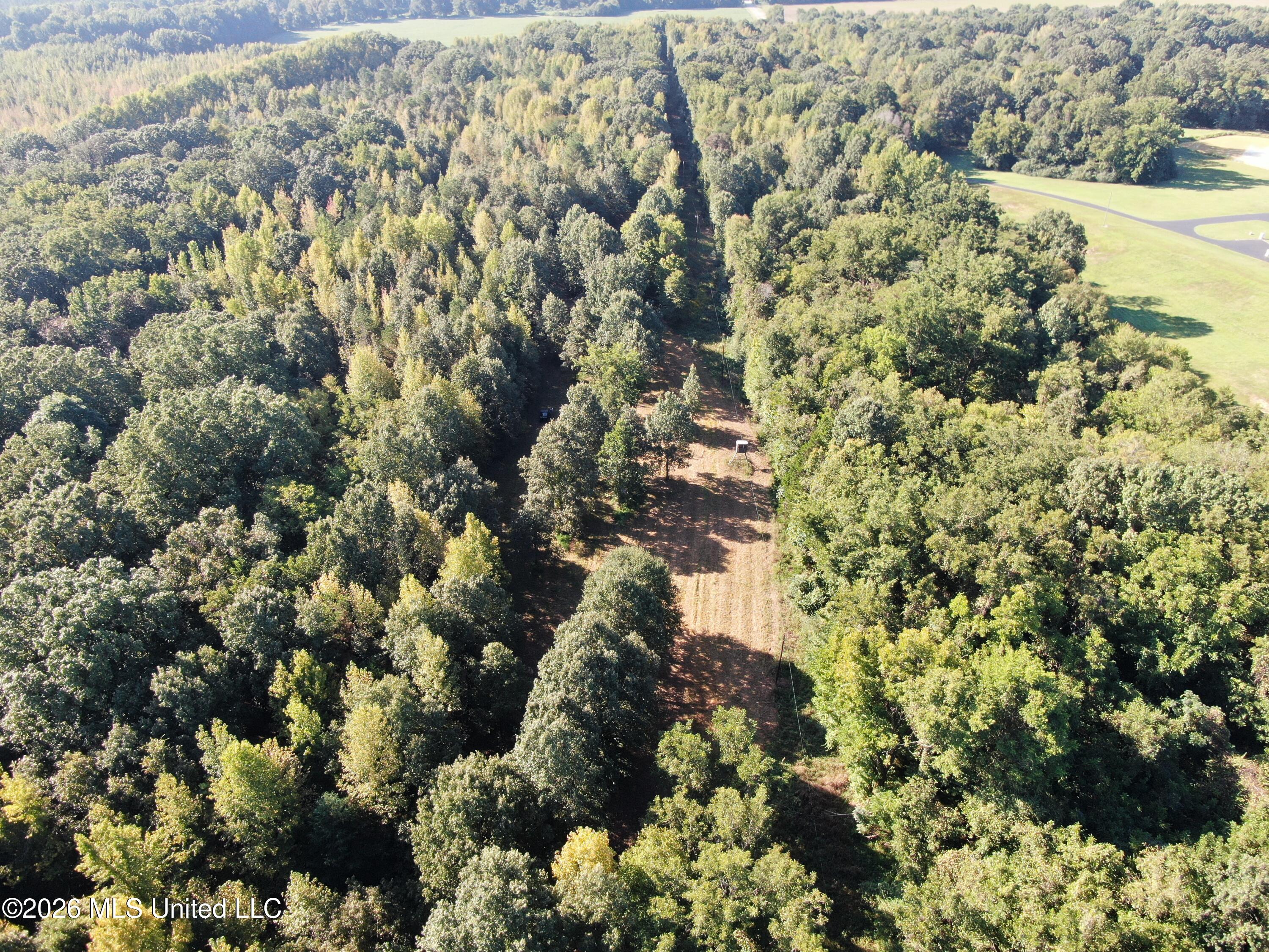 390 Old Panola Rd Property Photo 1