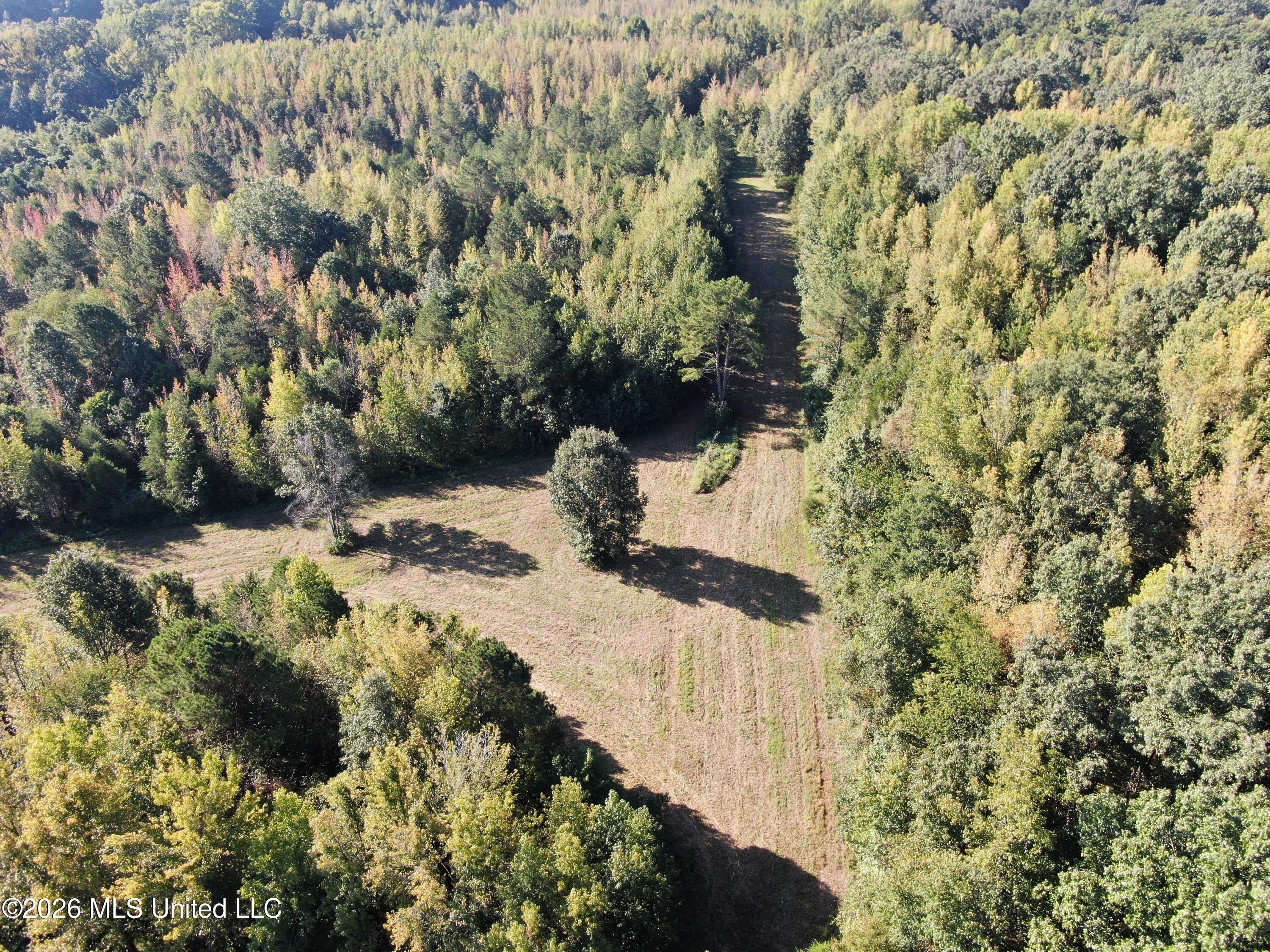390 Old Panola Rd Property Photo 2