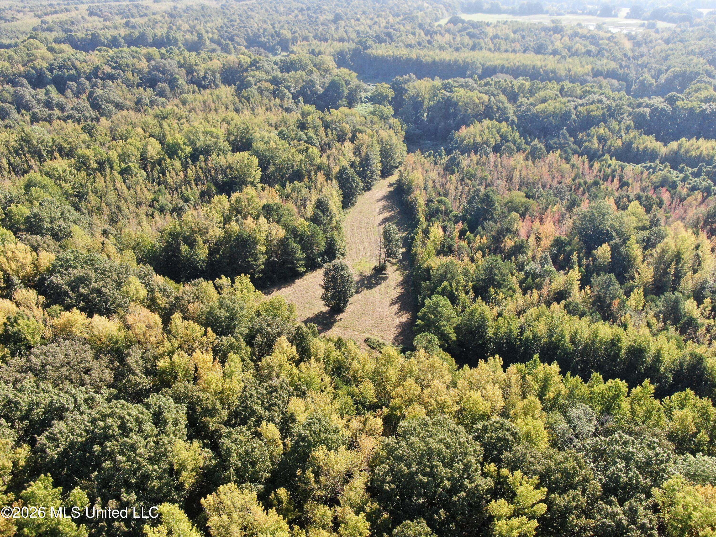 390 Old Panola Rd Property Photo 3