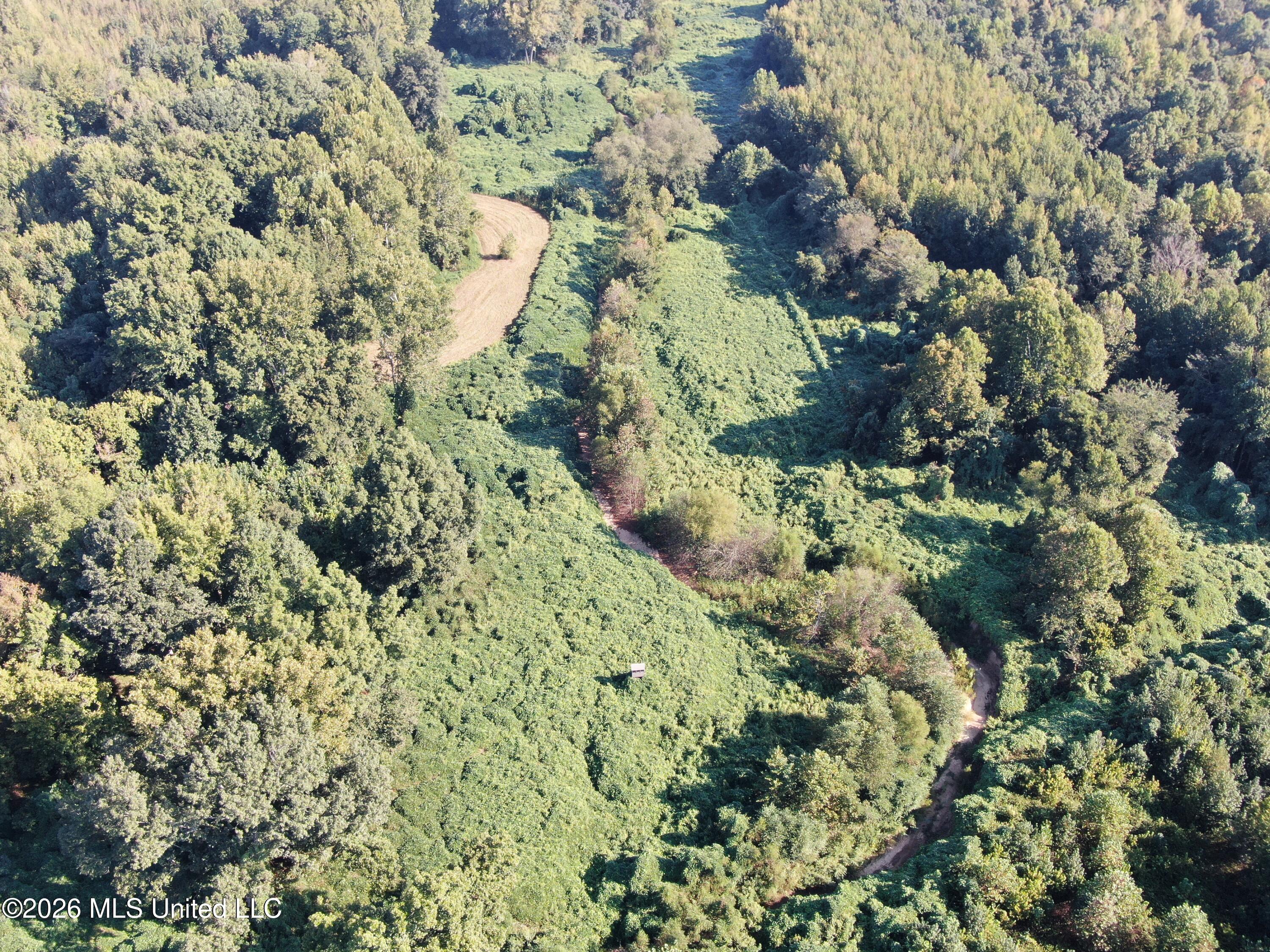 390 Old Panola Rd Property Photo 4