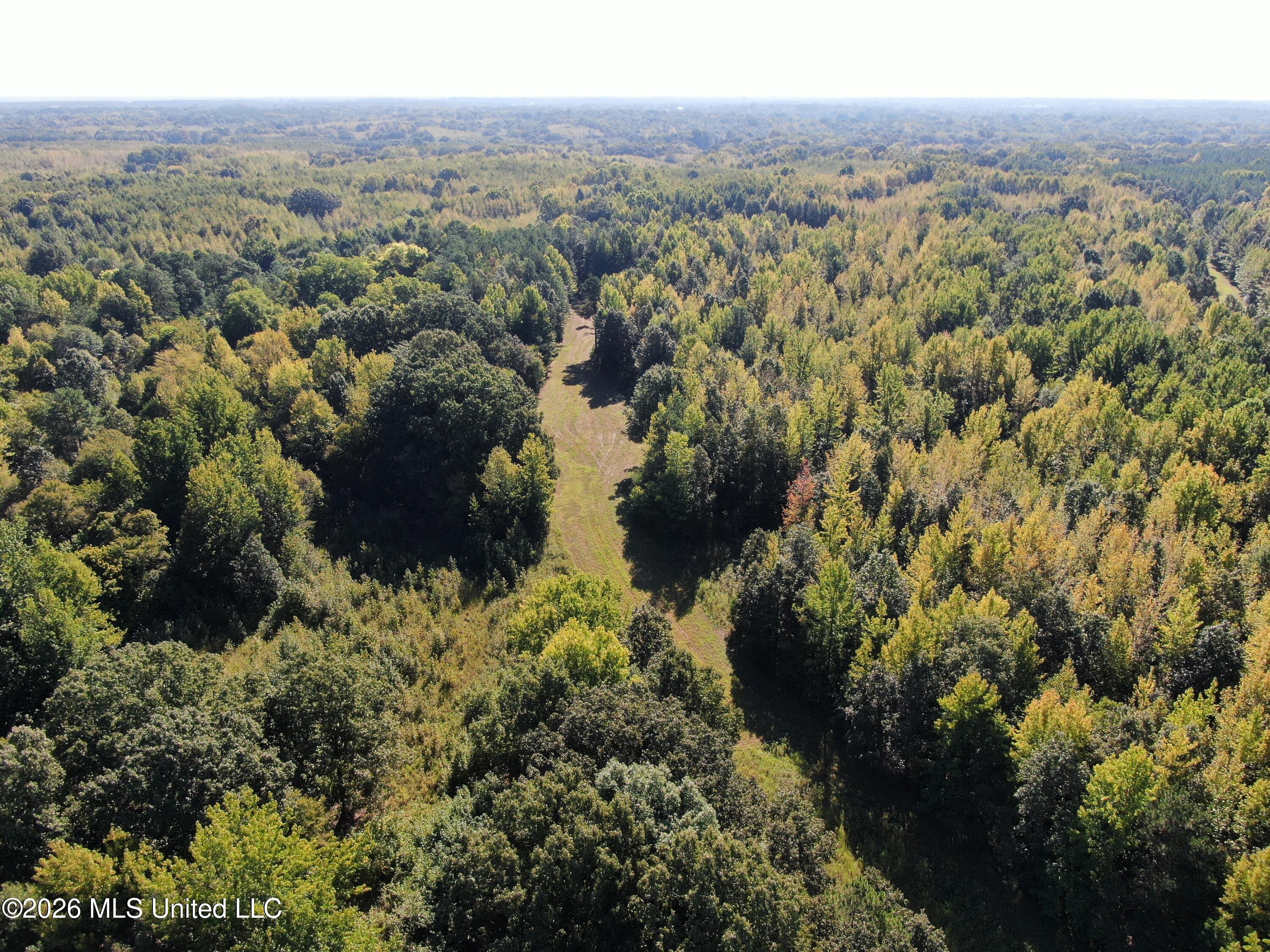 390 Old Panola Rd Property Photo 5