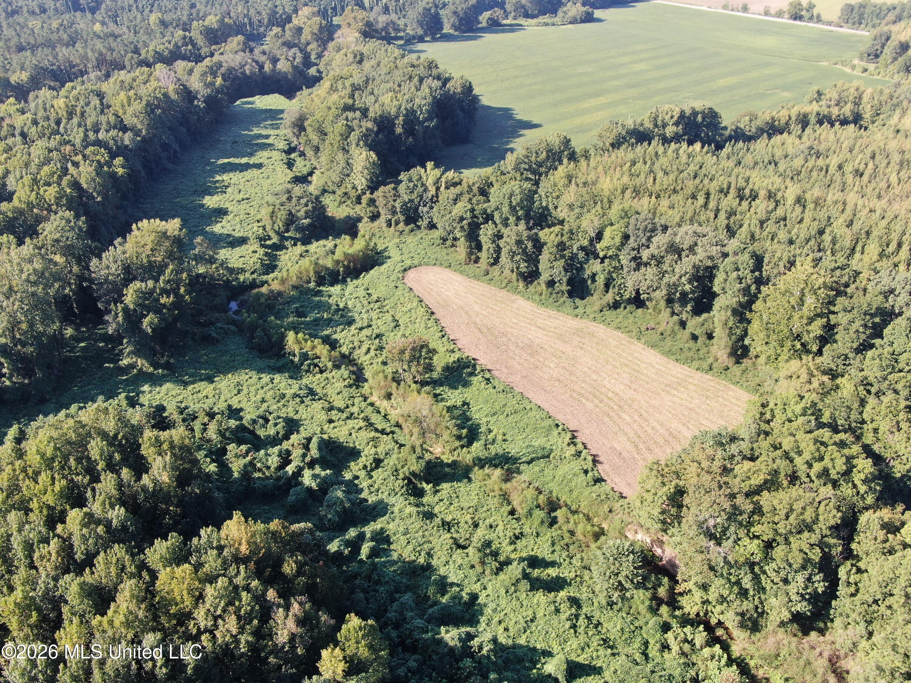 390 Old Panola Rd Property Photo 6
