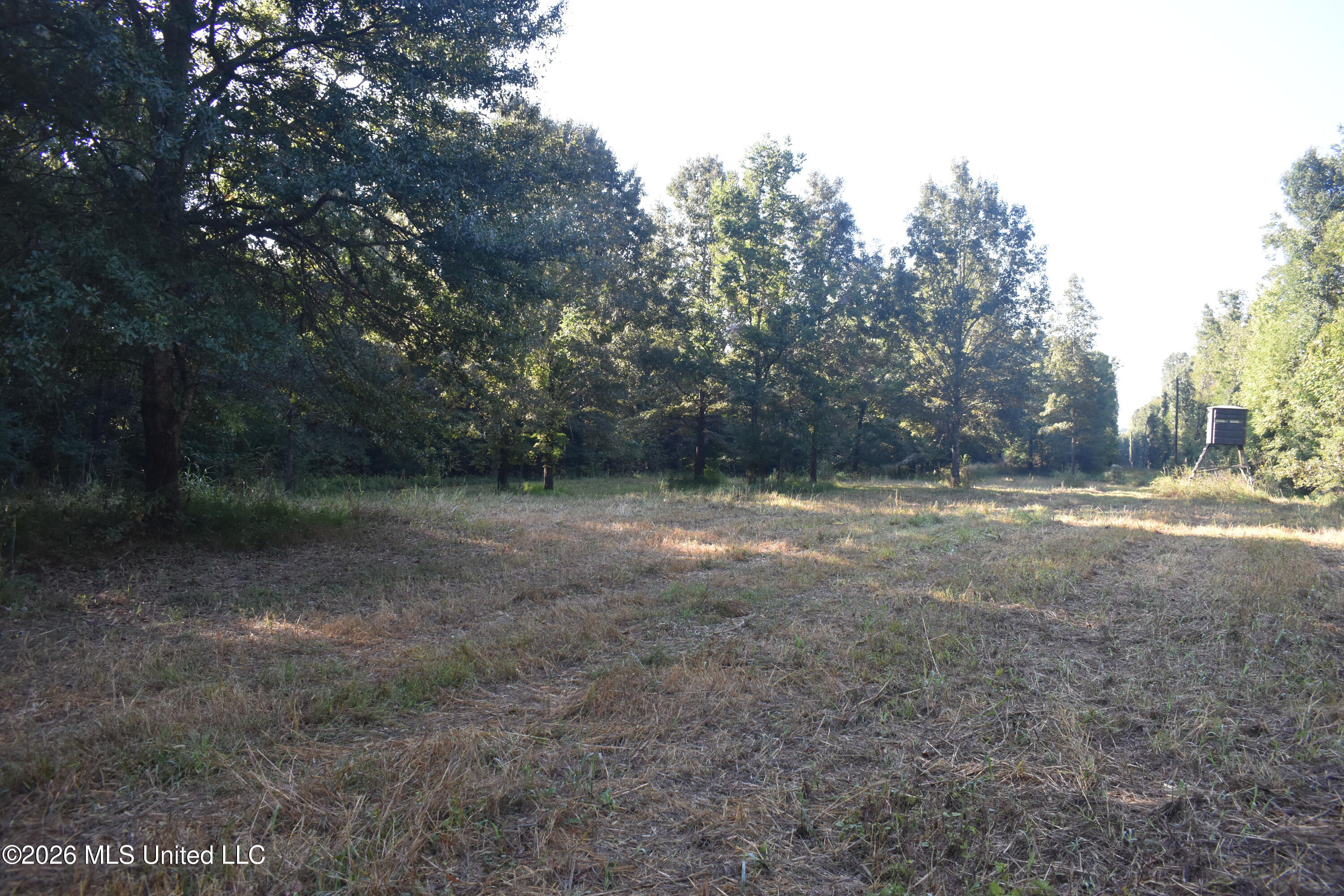 390 Old Panola Rd Property Photo 10