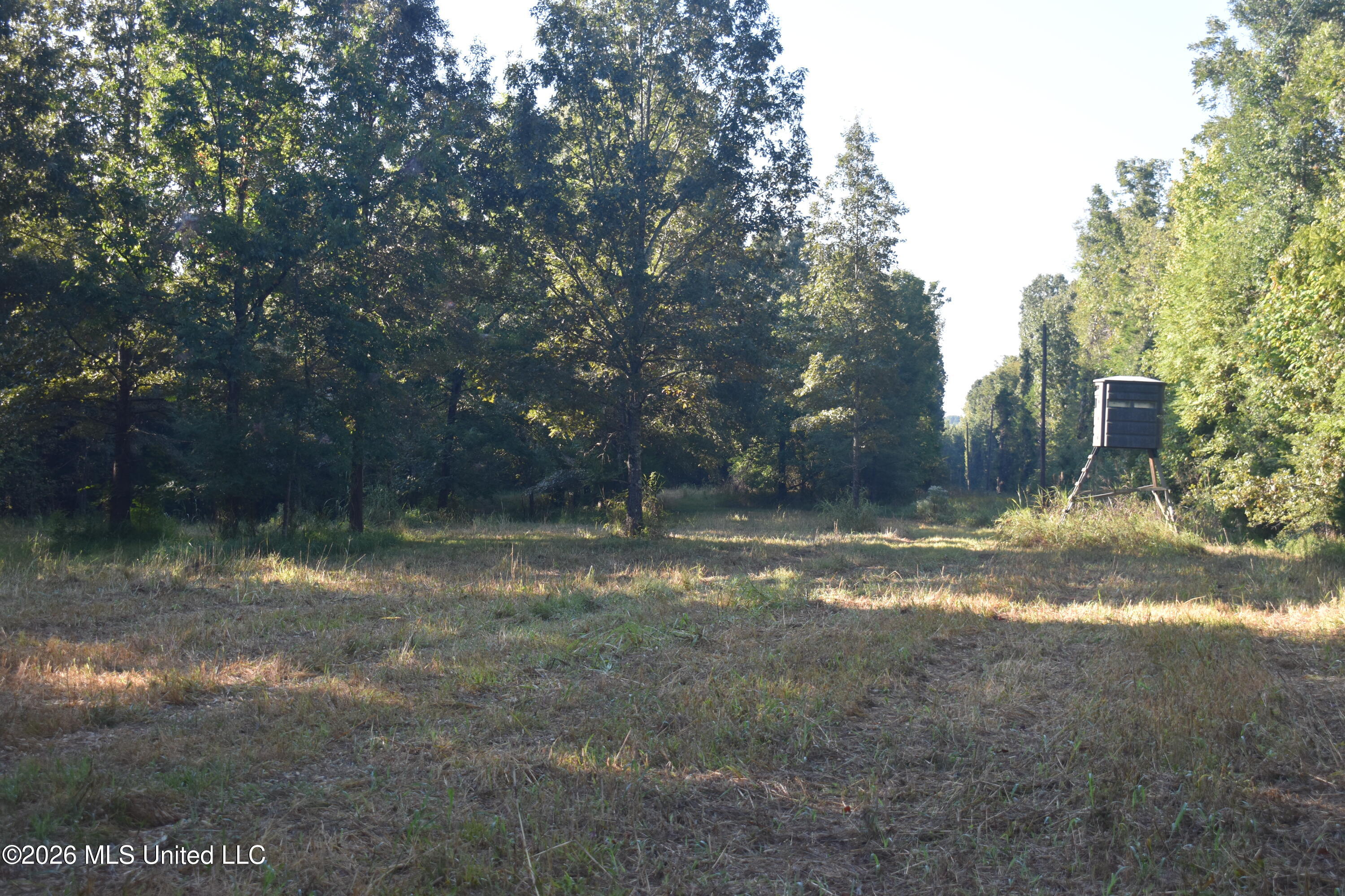 390 Old Panola Rd Property Photo 11