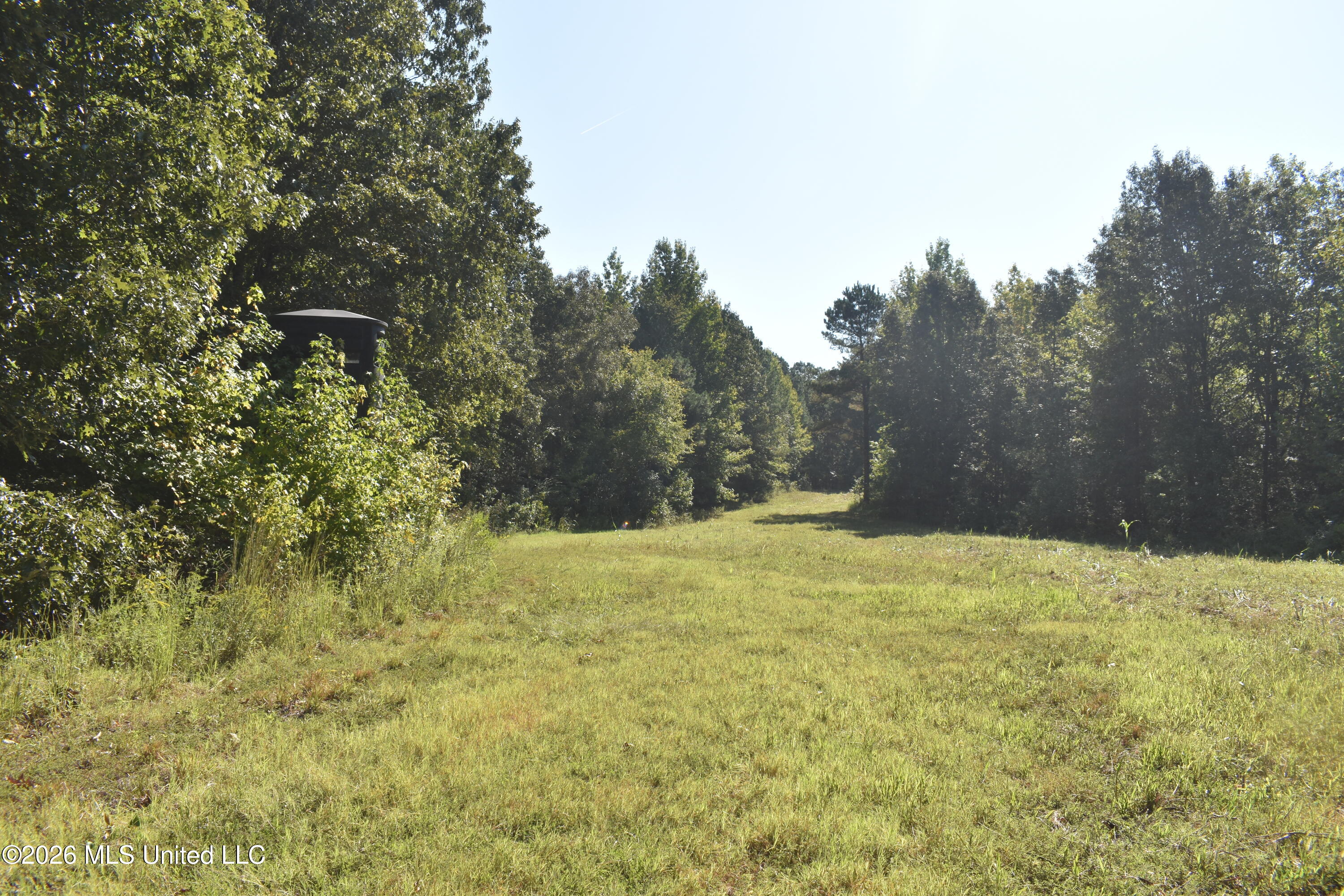 390 Old Panola Rd Property Photo 12