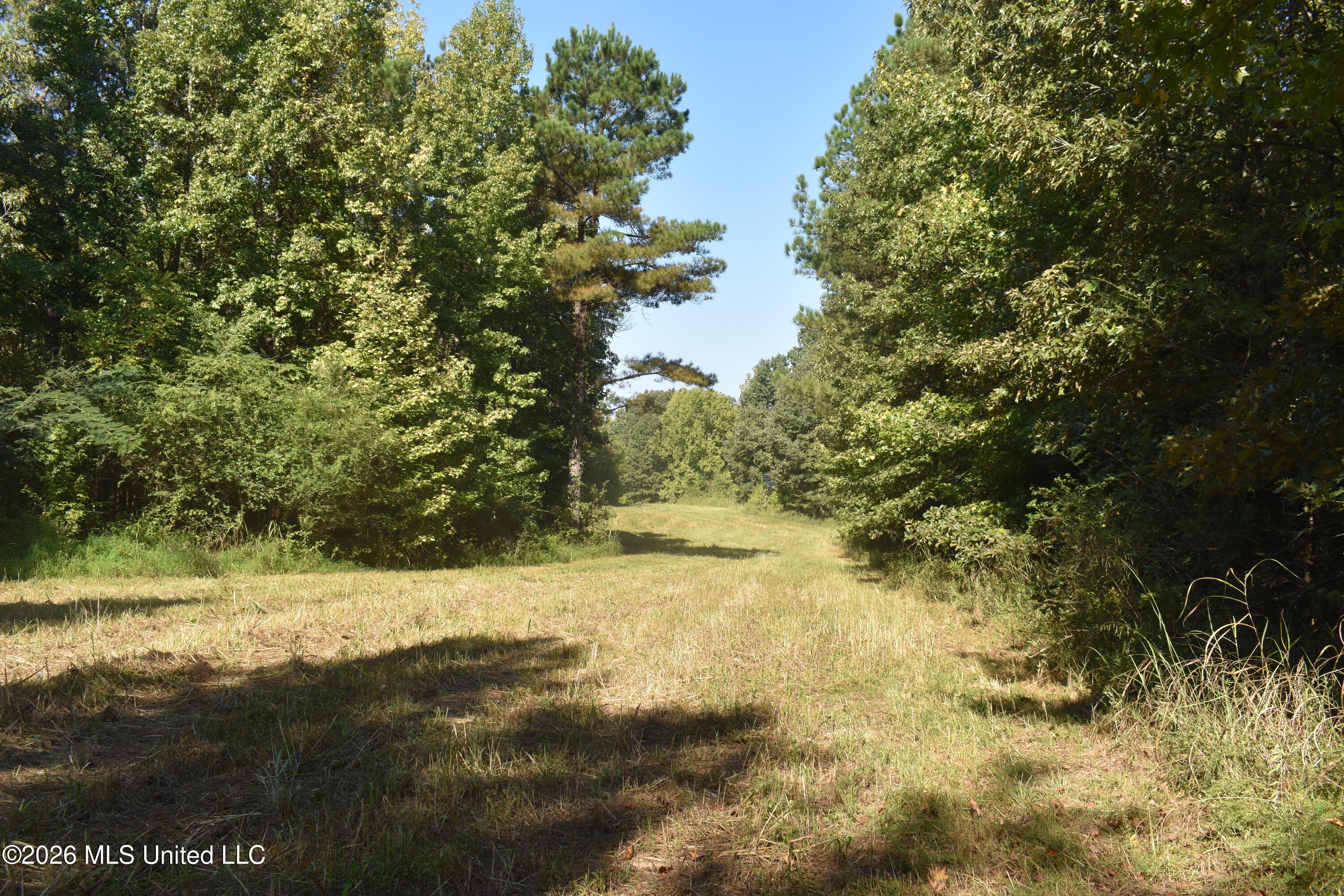 390 Old Panola Rd Property Photo 13