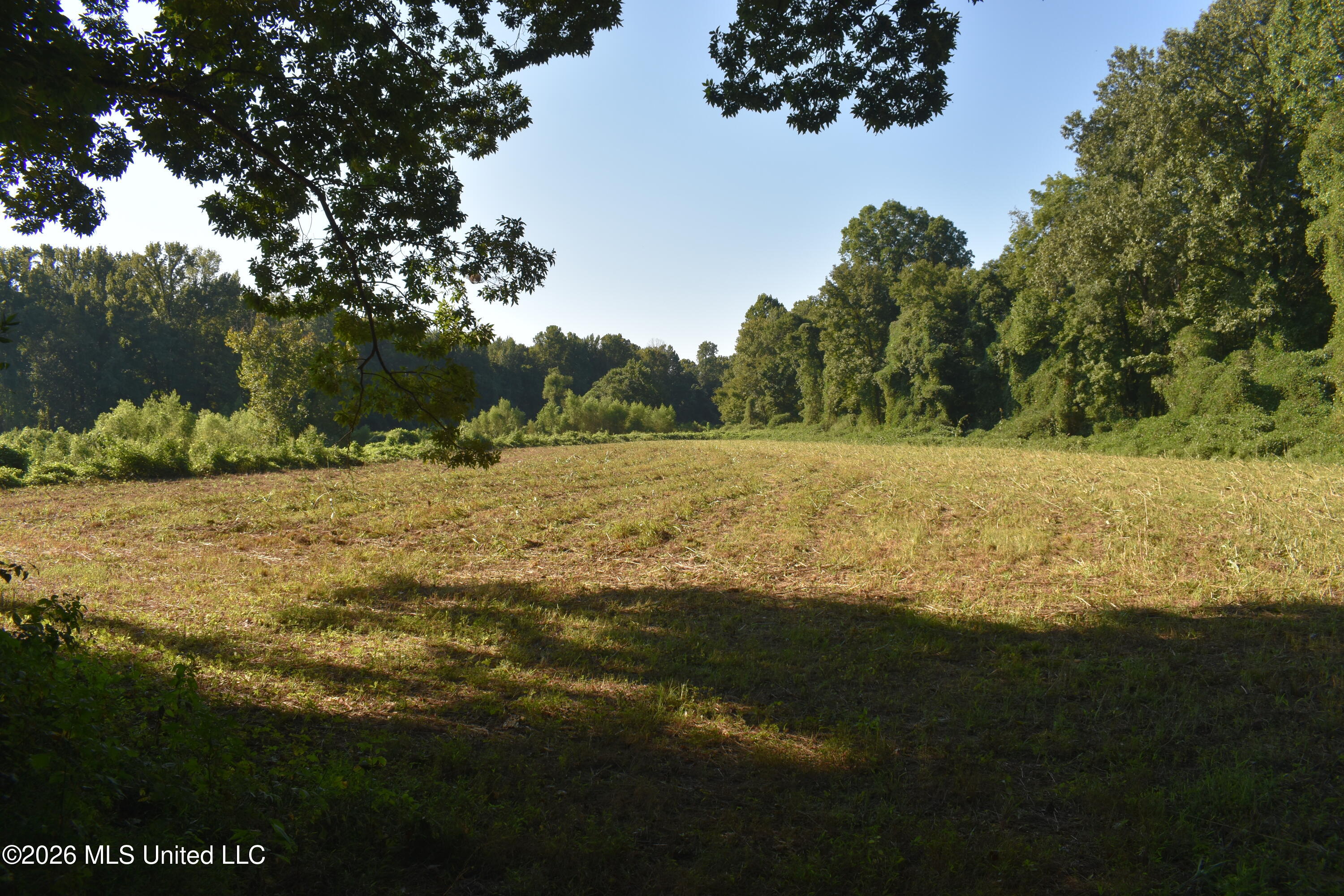390 Old Panola Rd Property Photo 14