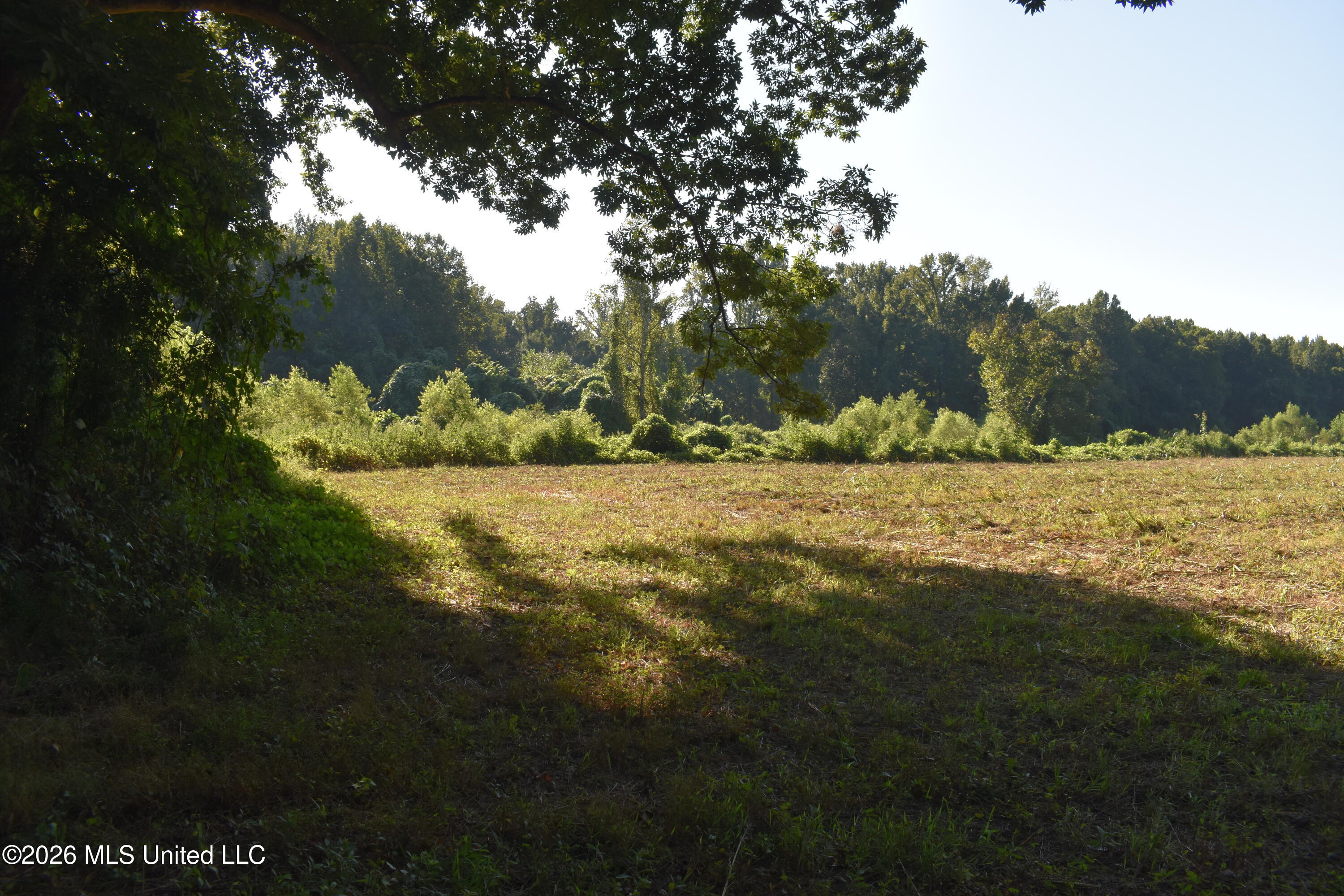 390 Old Panola Rd Property Photo 15