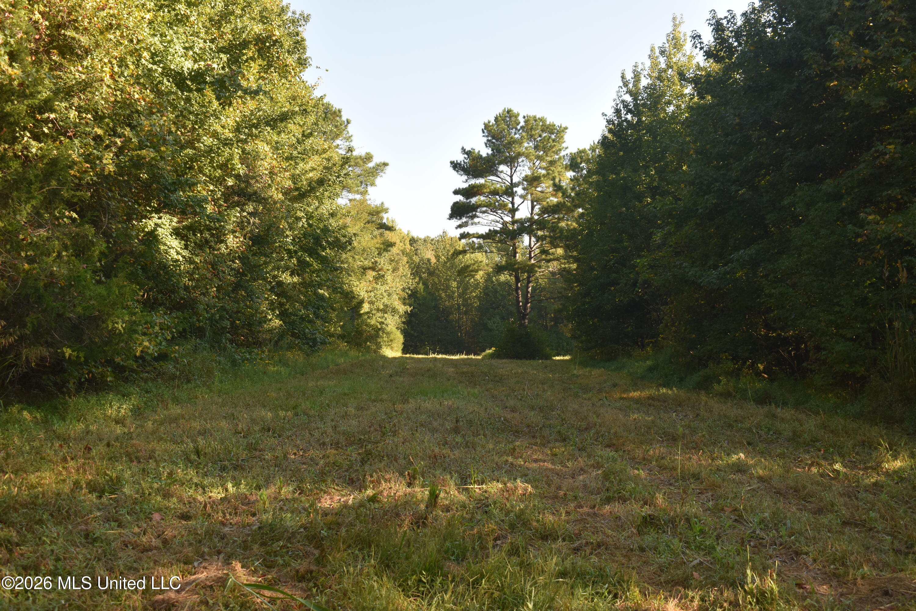 390 Old Panola Rd Property Photo 16