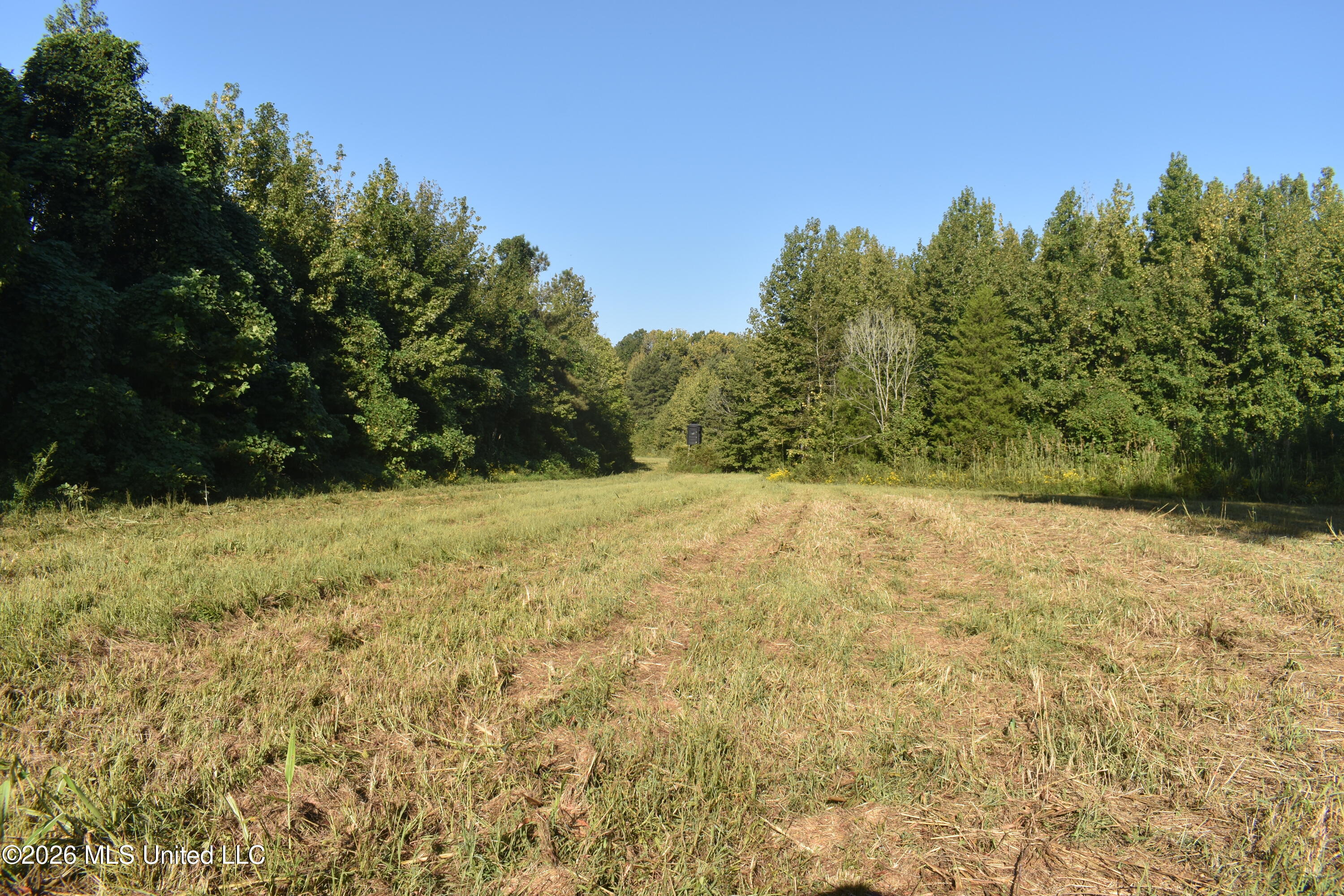 390 Old Panola Rd Property Photo 17