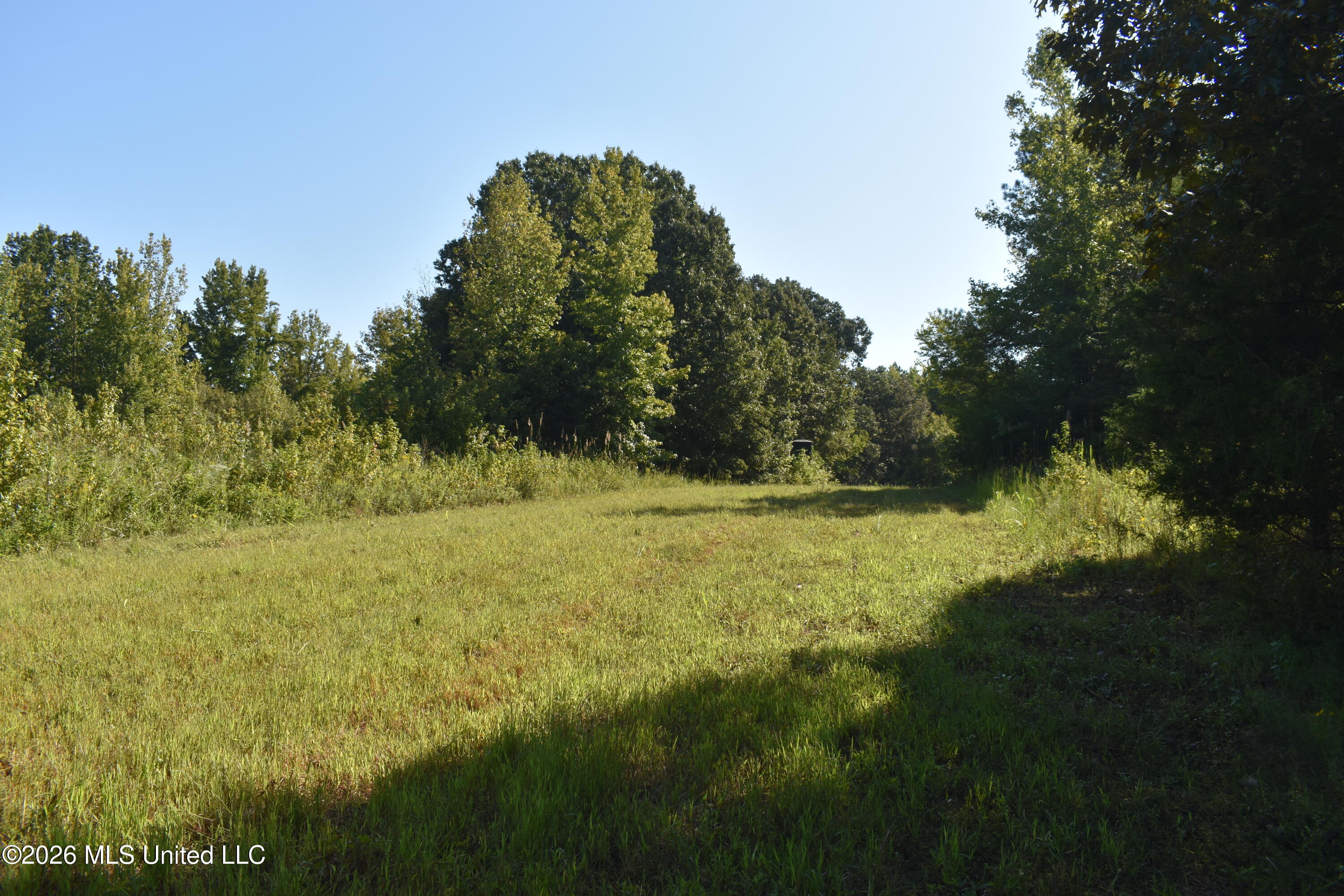390 Old Panola Rd Property Photo 18