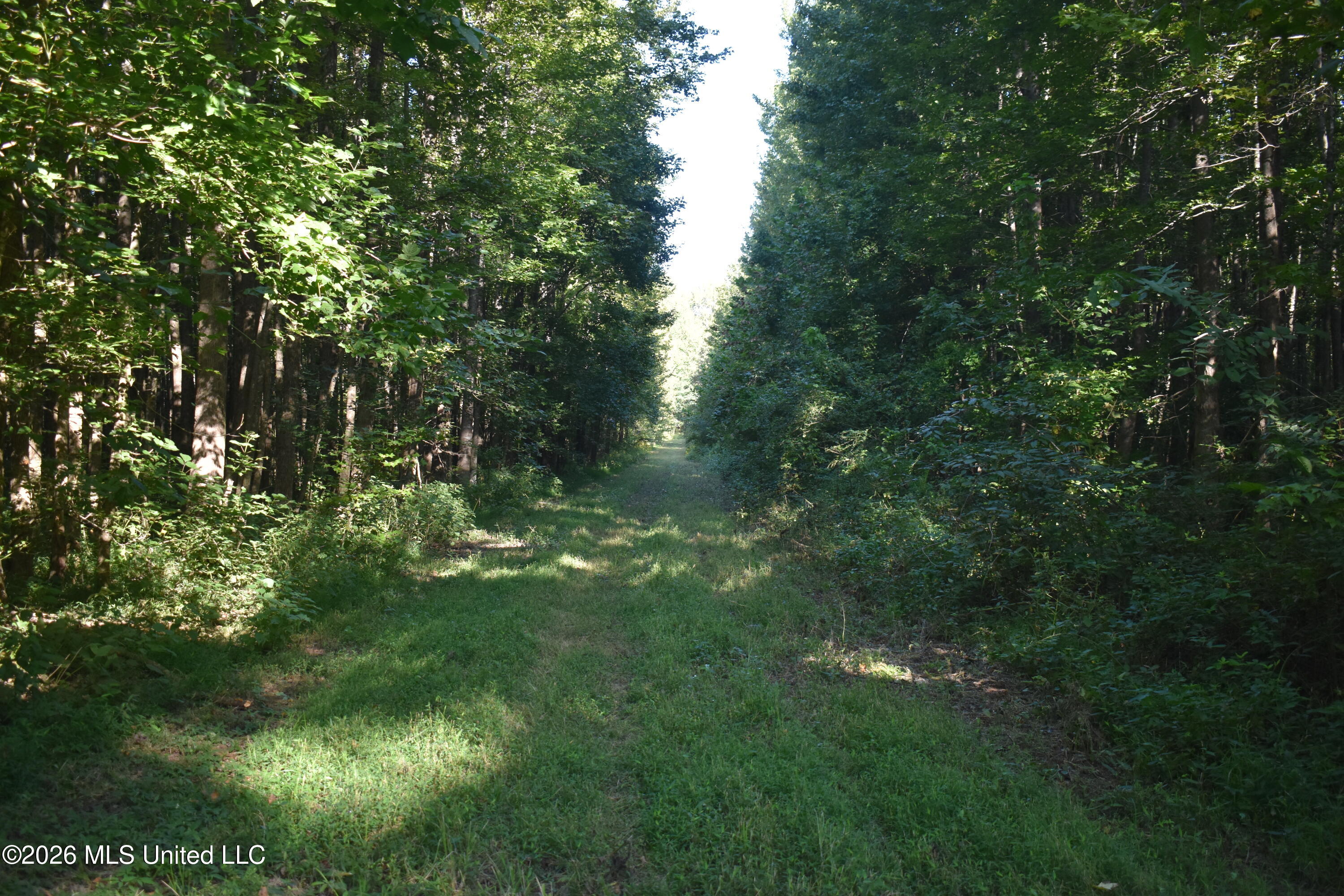 390 Old Panola Rd Property Photo 19