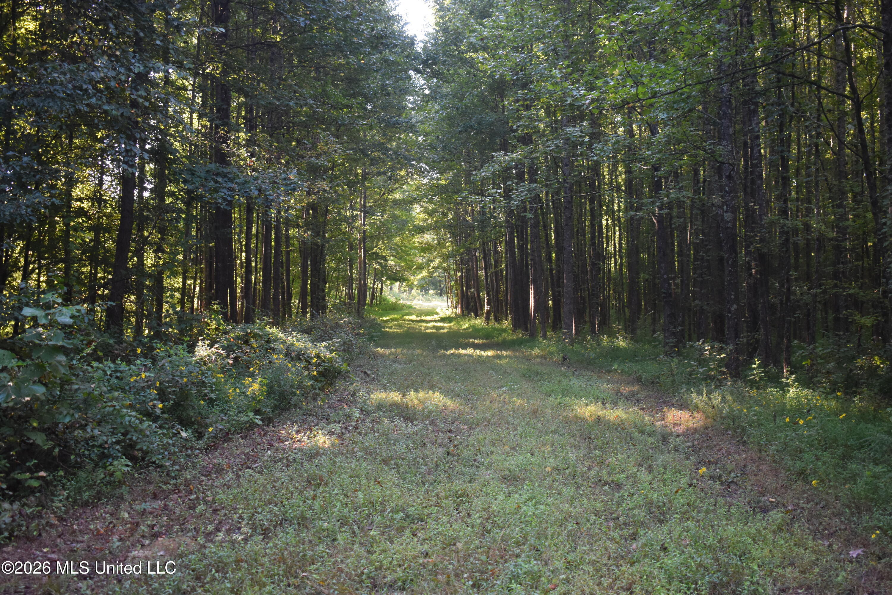 390 Old Panola Rd Property Photo 20