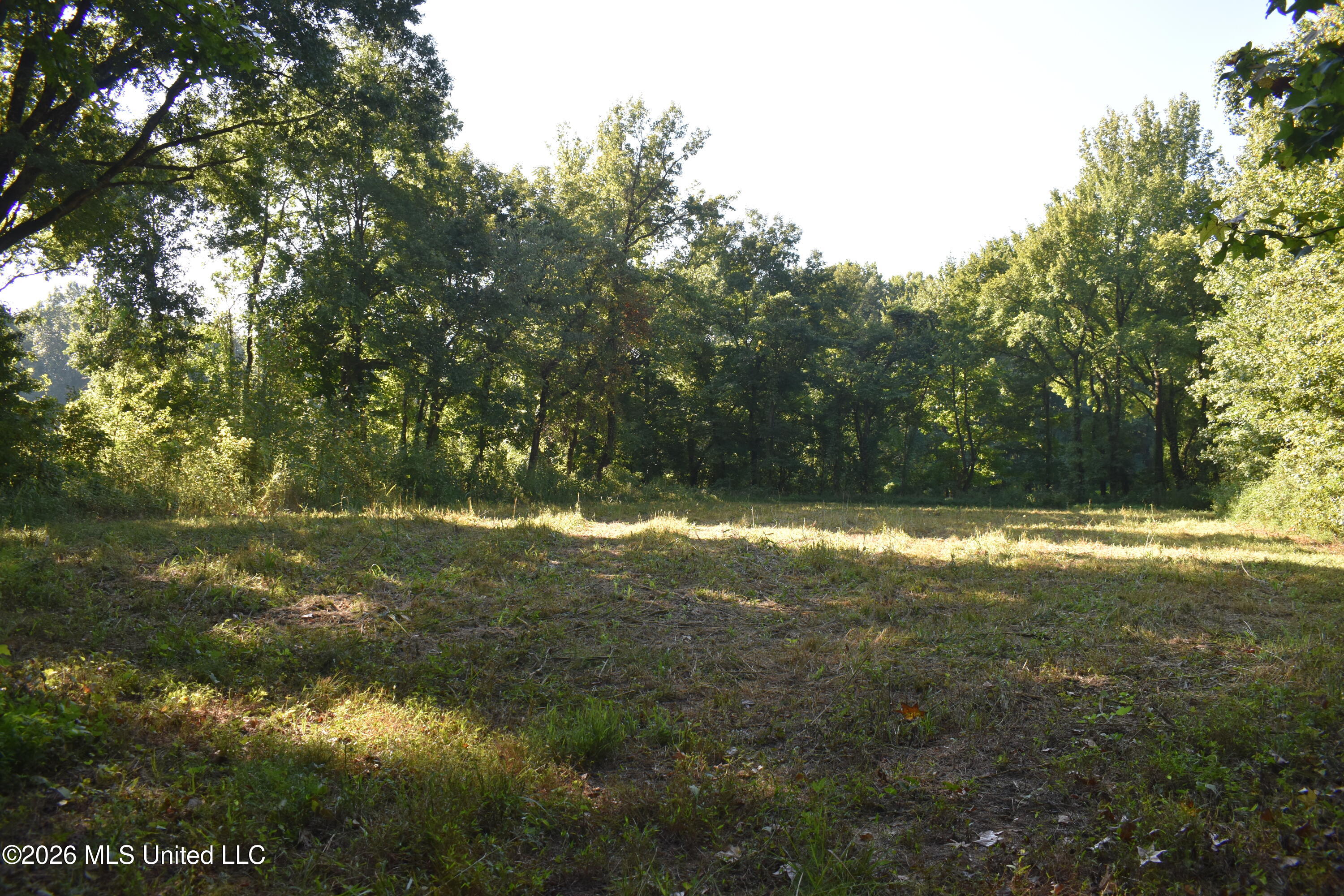 390 Old Panola Rd Property Photo 21