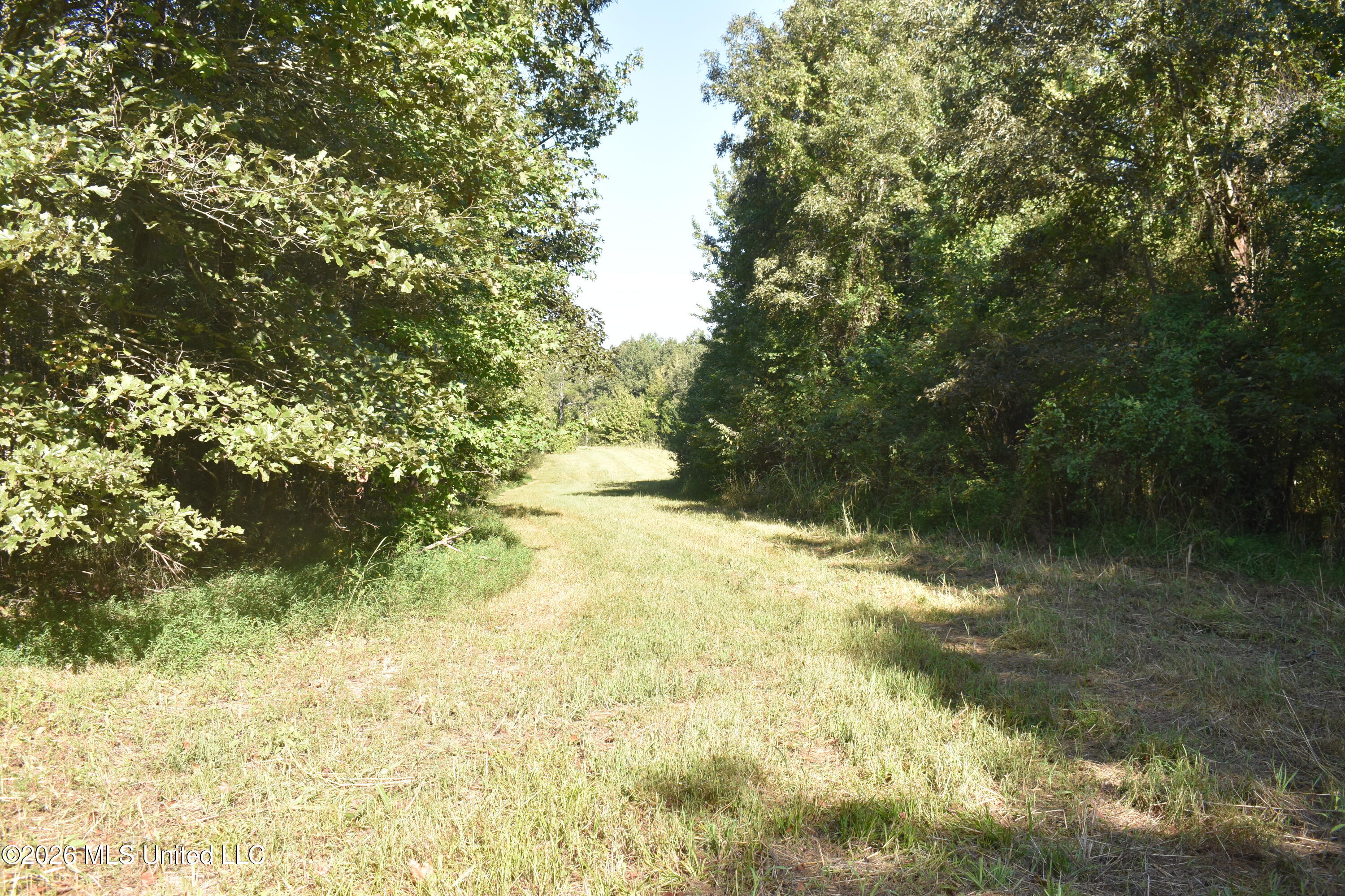 390 Old Panola Rd Property Photo 22