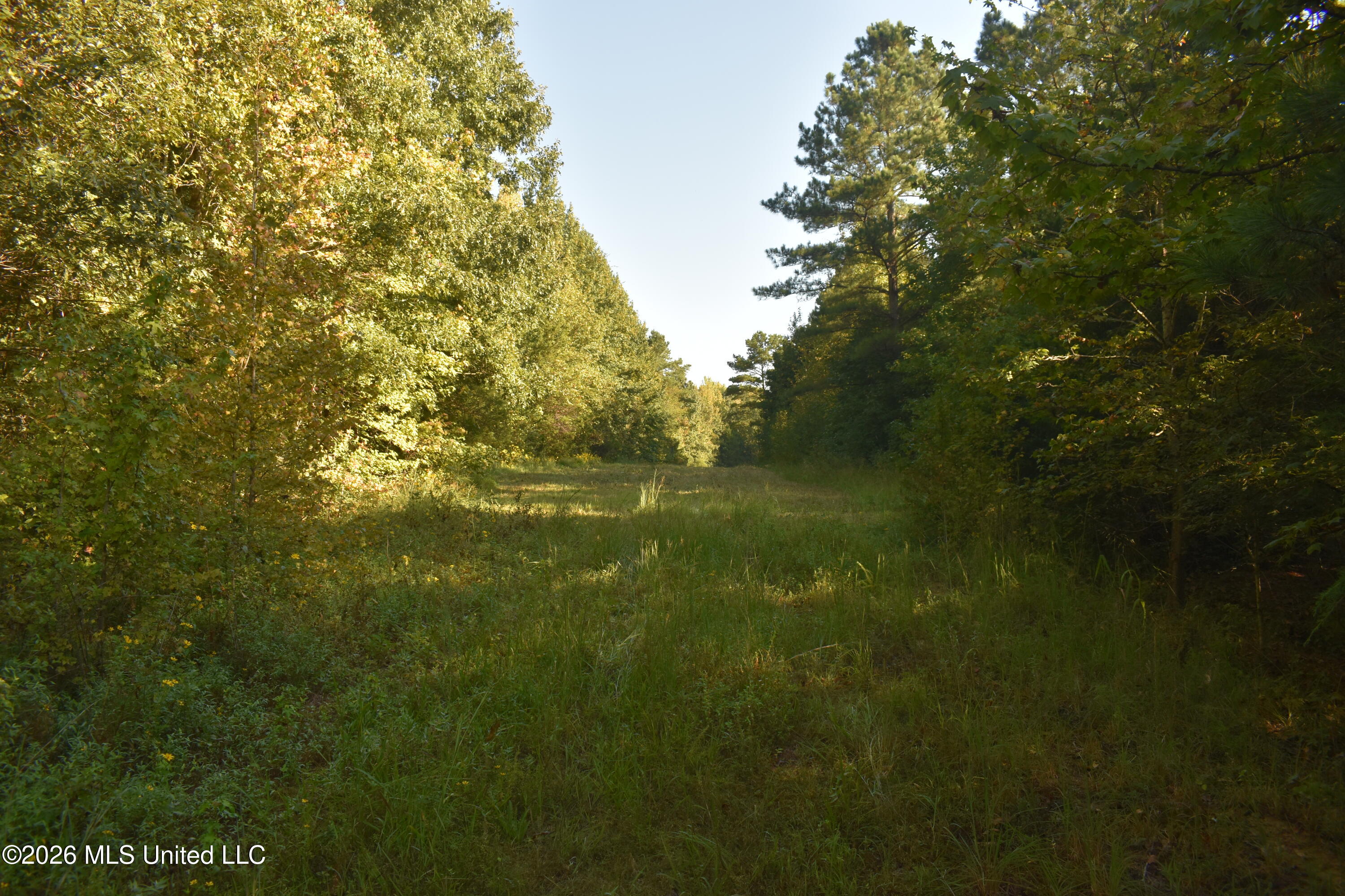 390 Old Panola Rd Property Photo 23