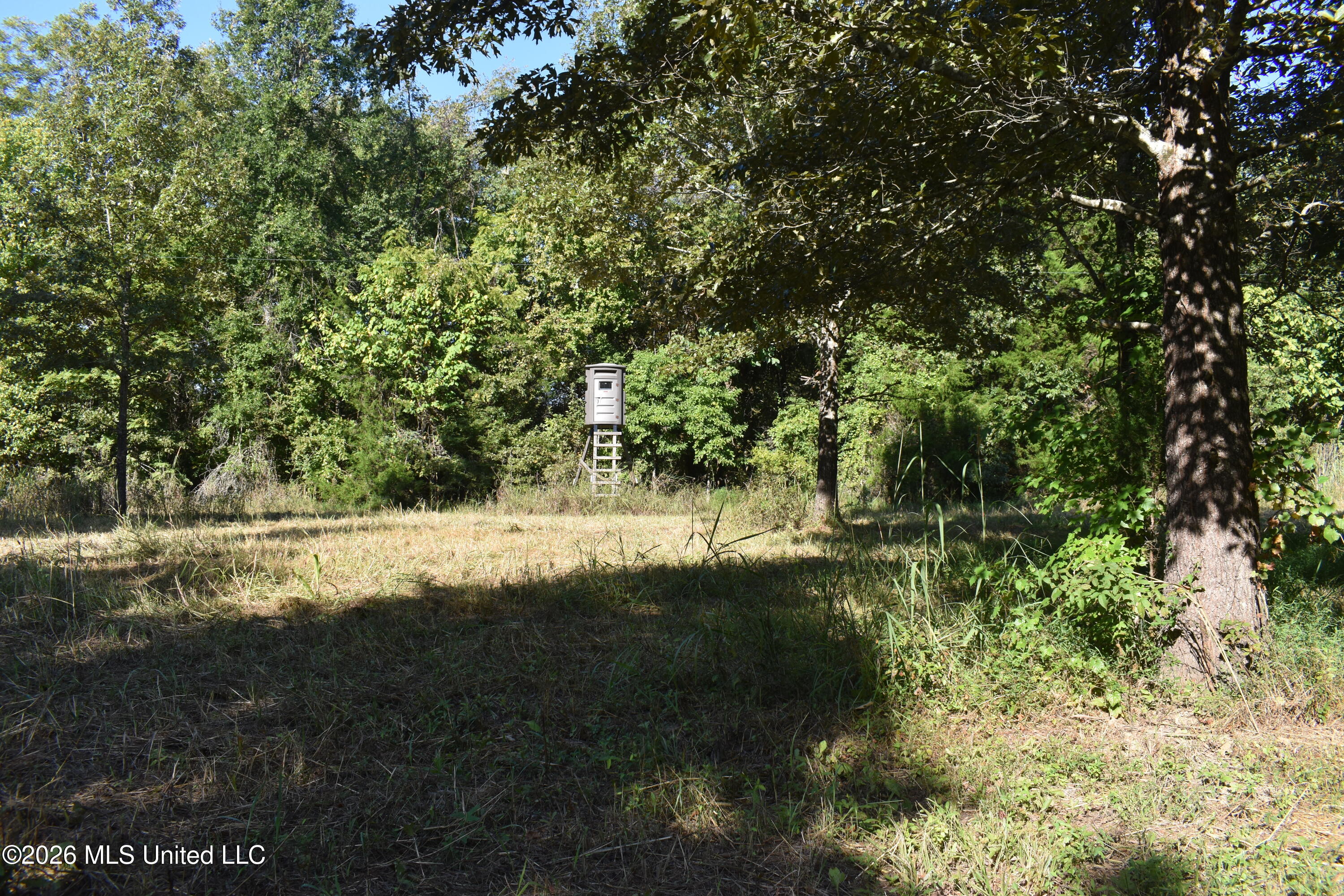 390 Old Panola Rd Property Photo 25
