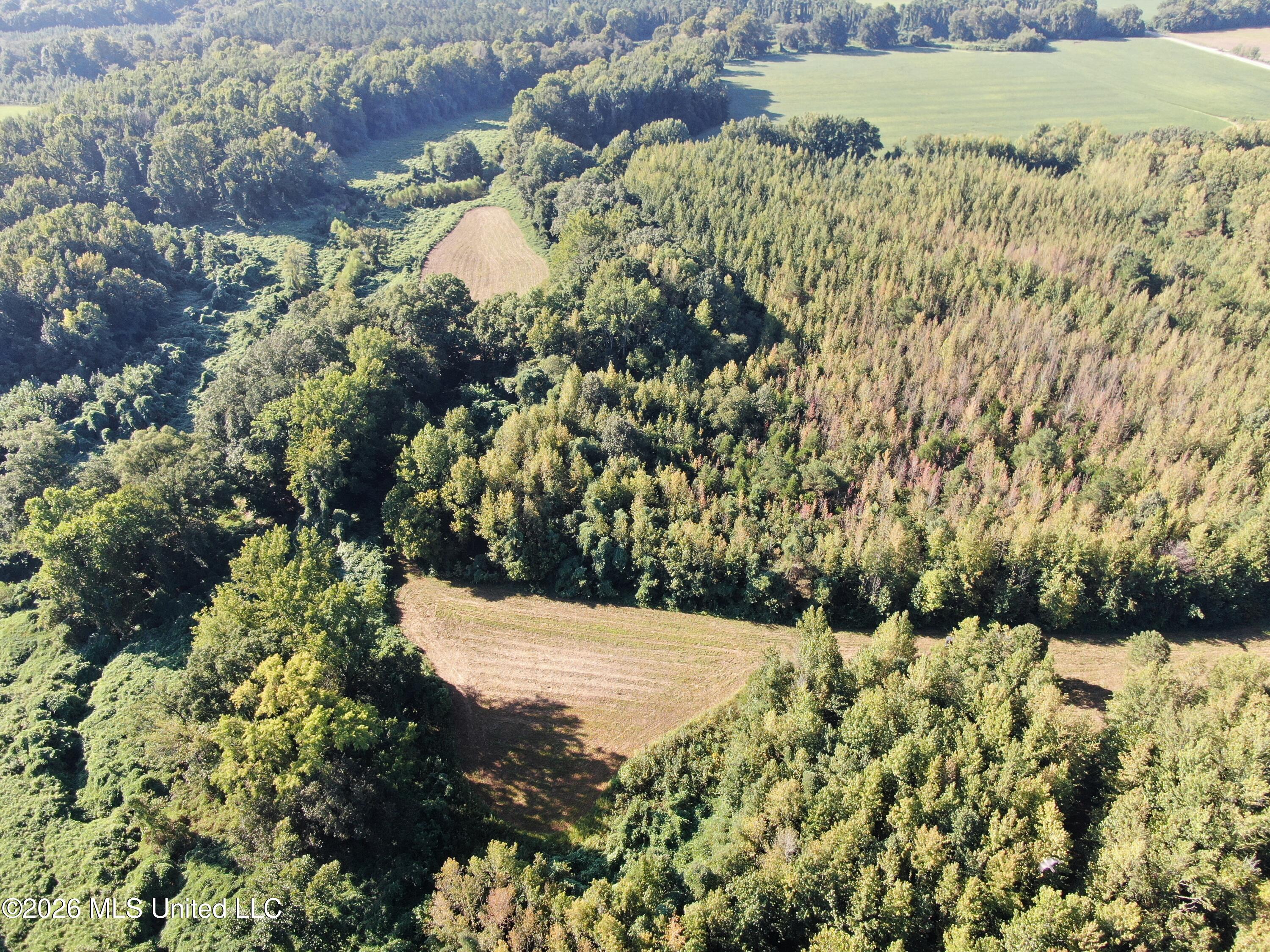 390 Old Panola Rd Property Photo 26