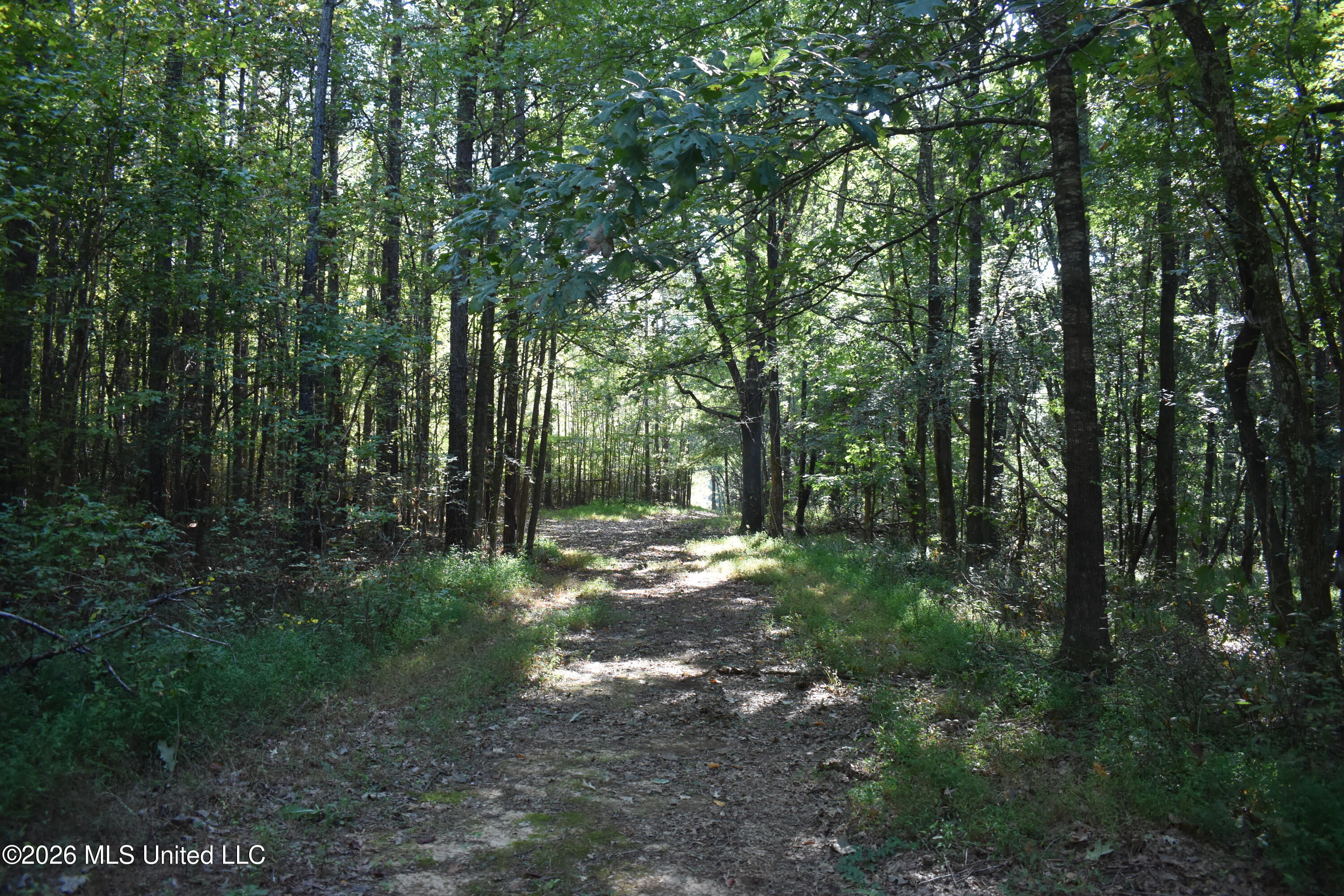 390 Old Panola Rd Property Photo 28
