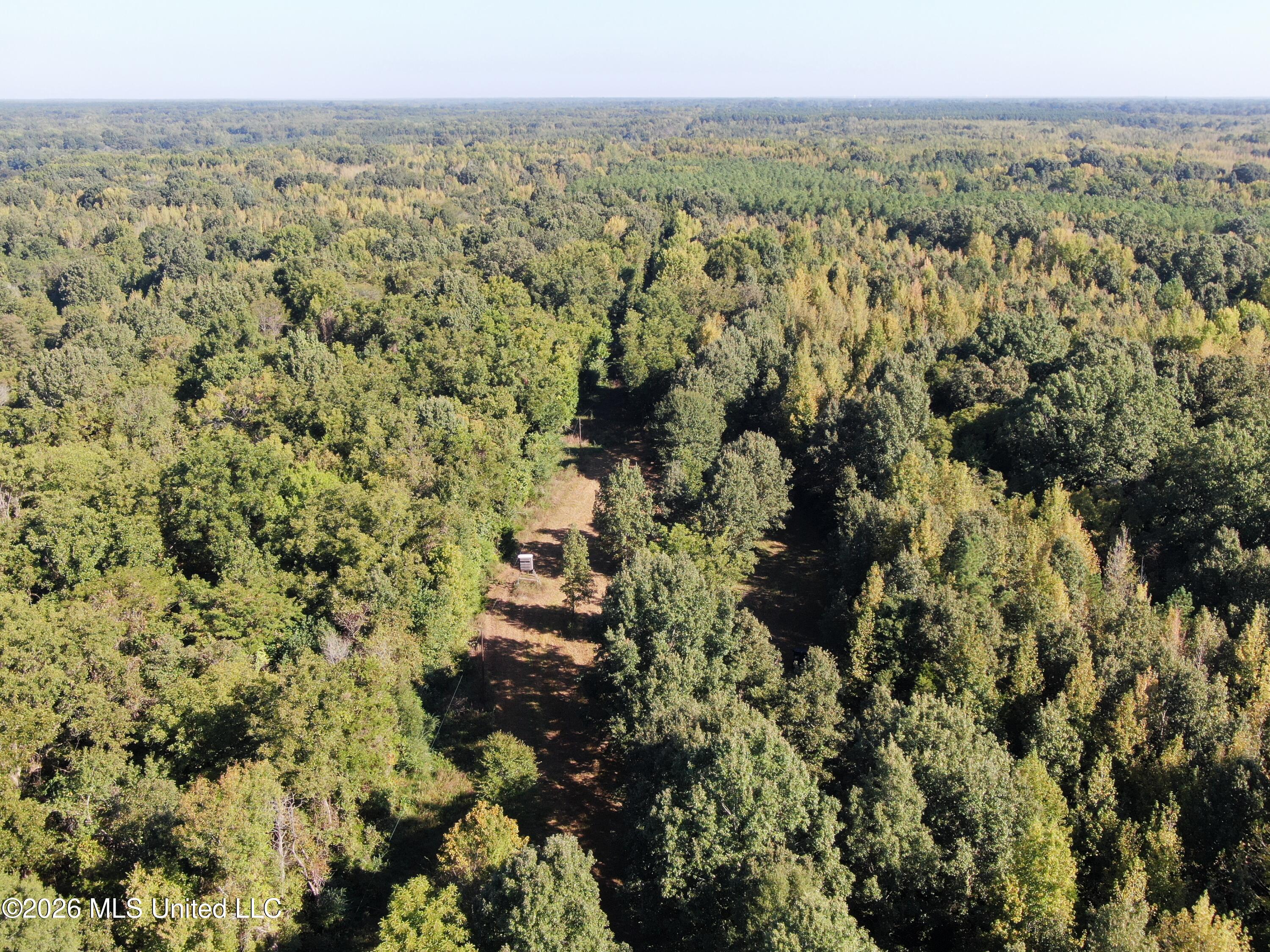 390 Old Panola Rd Property Photo 29