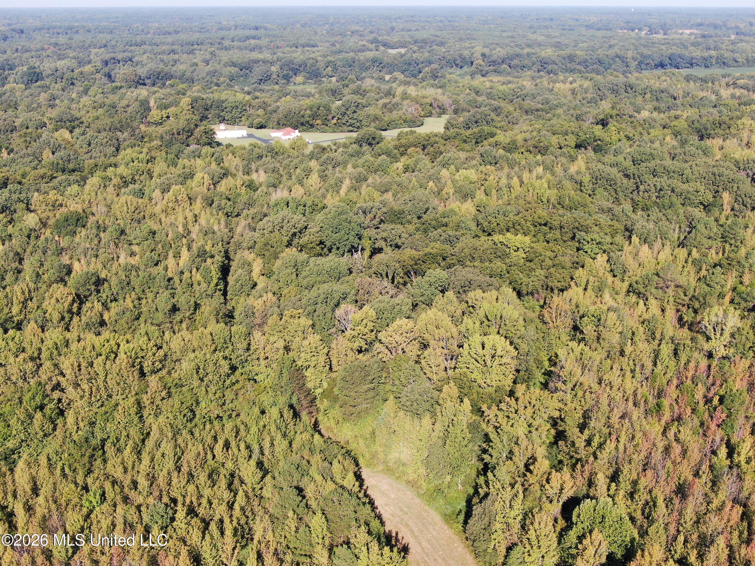 390 Old Panola Rd Property Photo 30