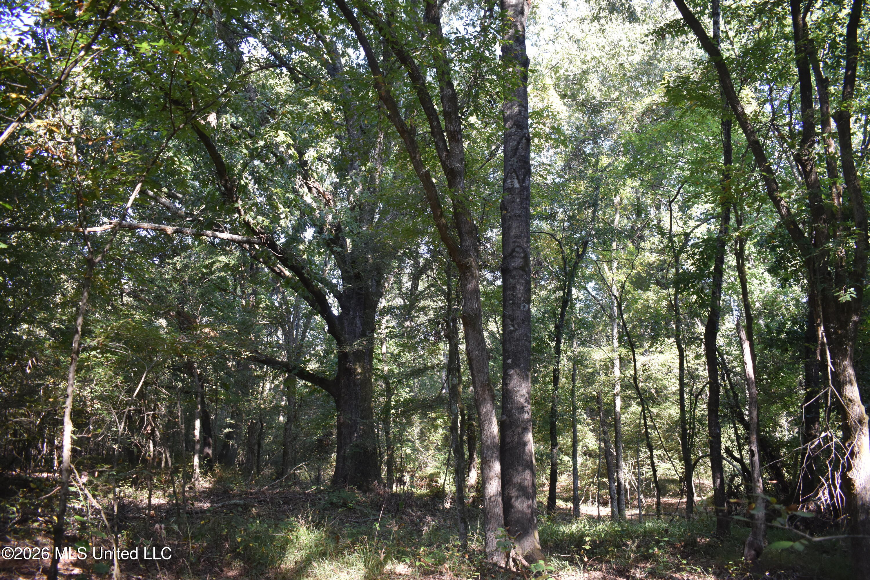390 Old Panola Rd Property Photo 31