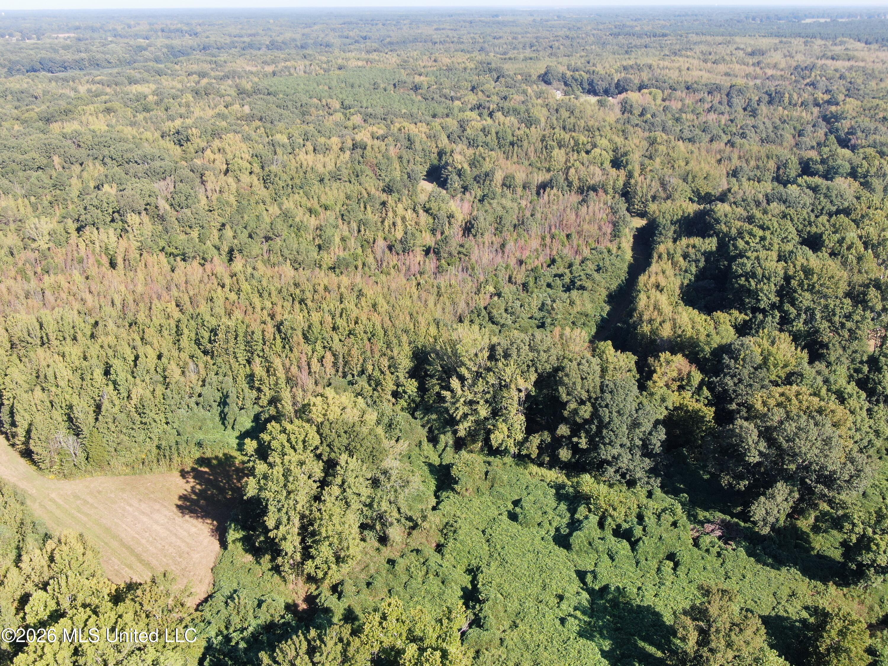 390 Old Panola Rd Property Photo 32