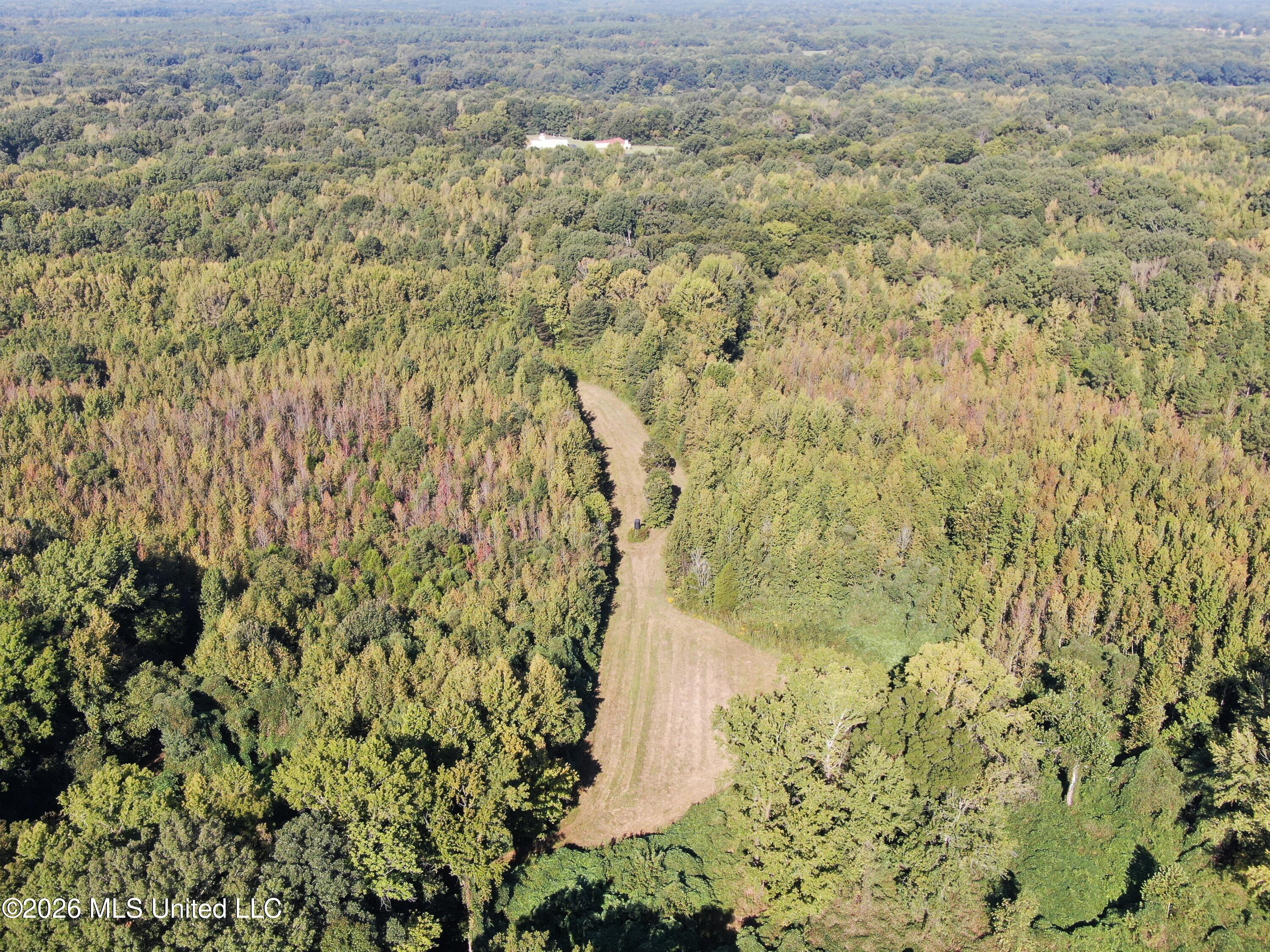 390 Old Panola Rd Property Photo 33