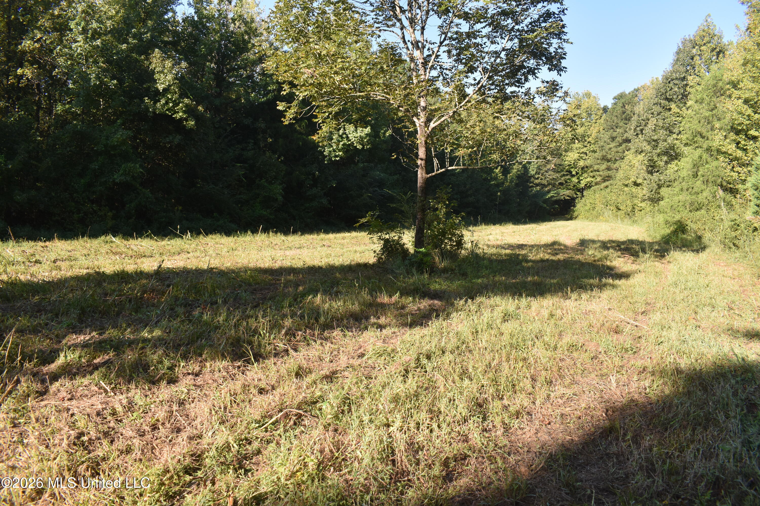 390 Old Panola Rd Property Photo 35