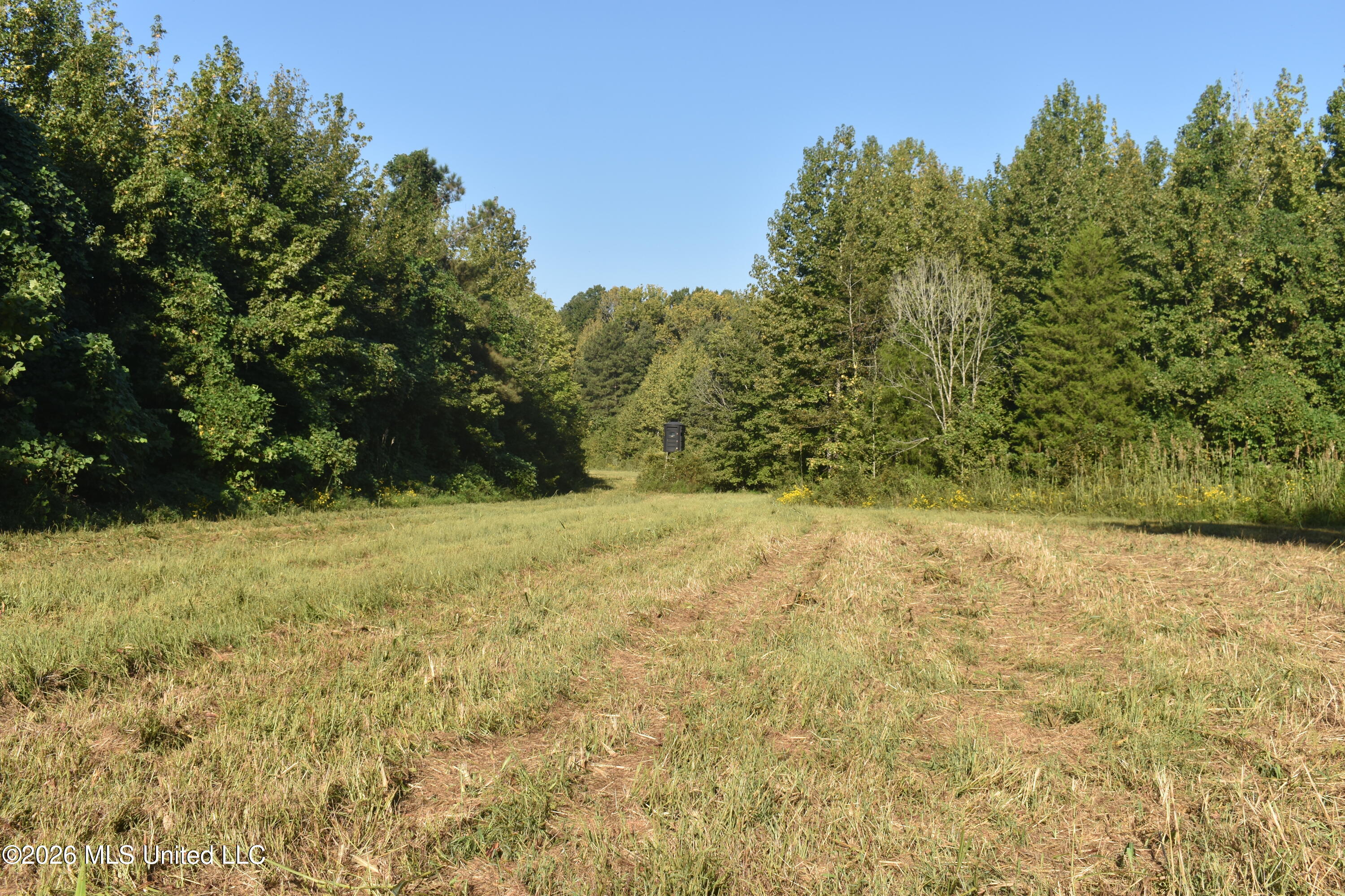390 Old Panola Rd Property Photo 36