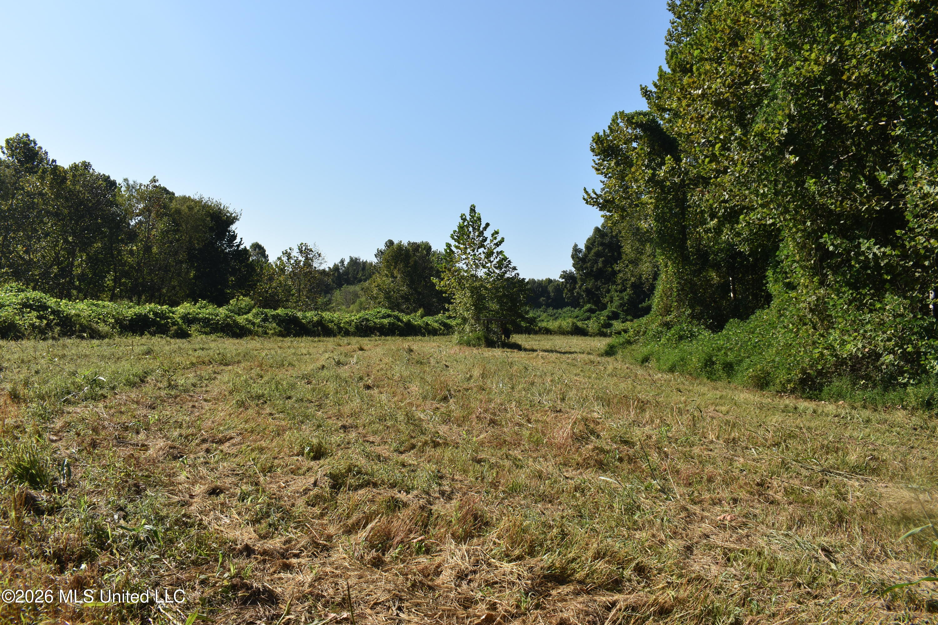 390 Old Panola Rd Property Photo 37