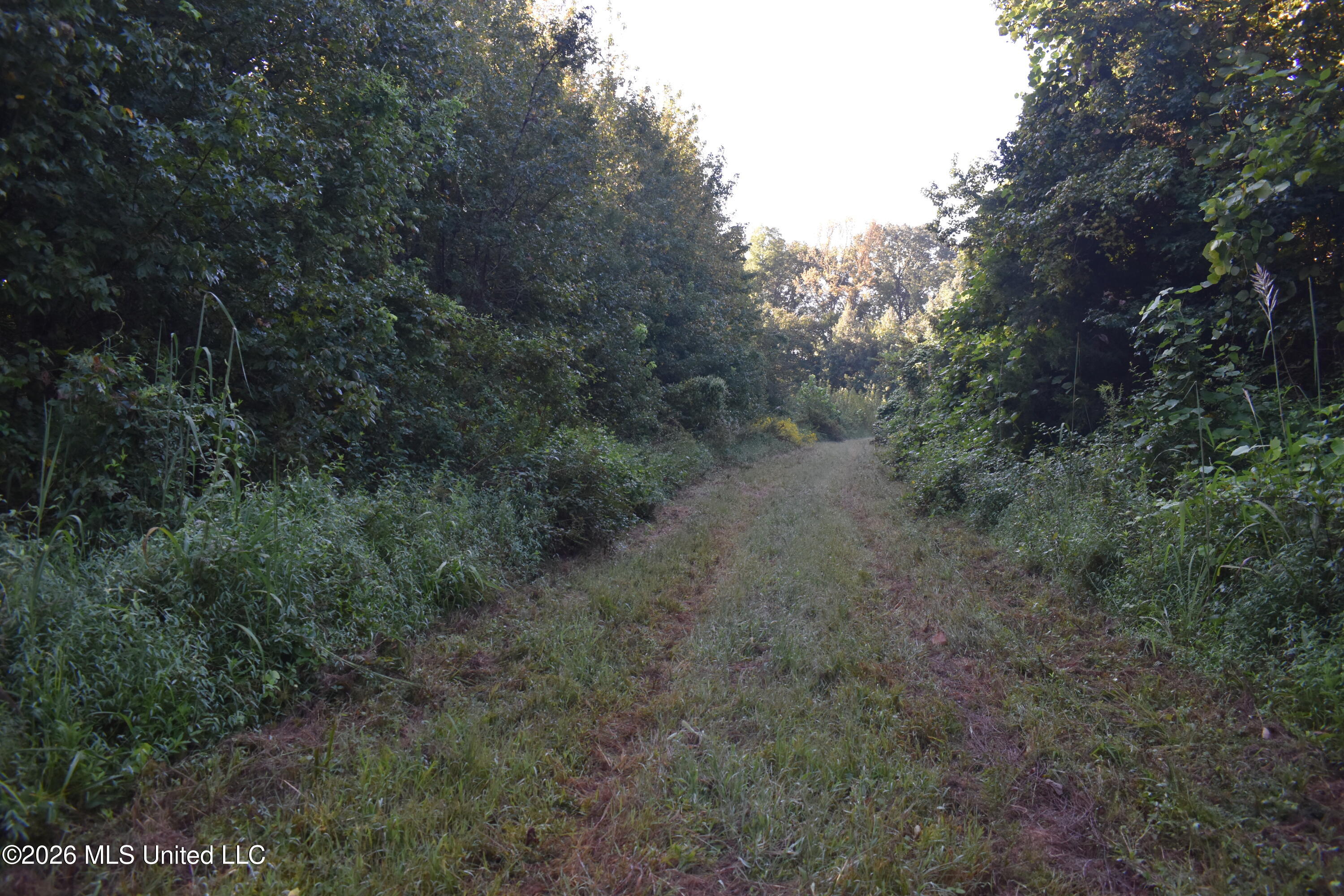 390 Old Panola Rd Property Photo 38