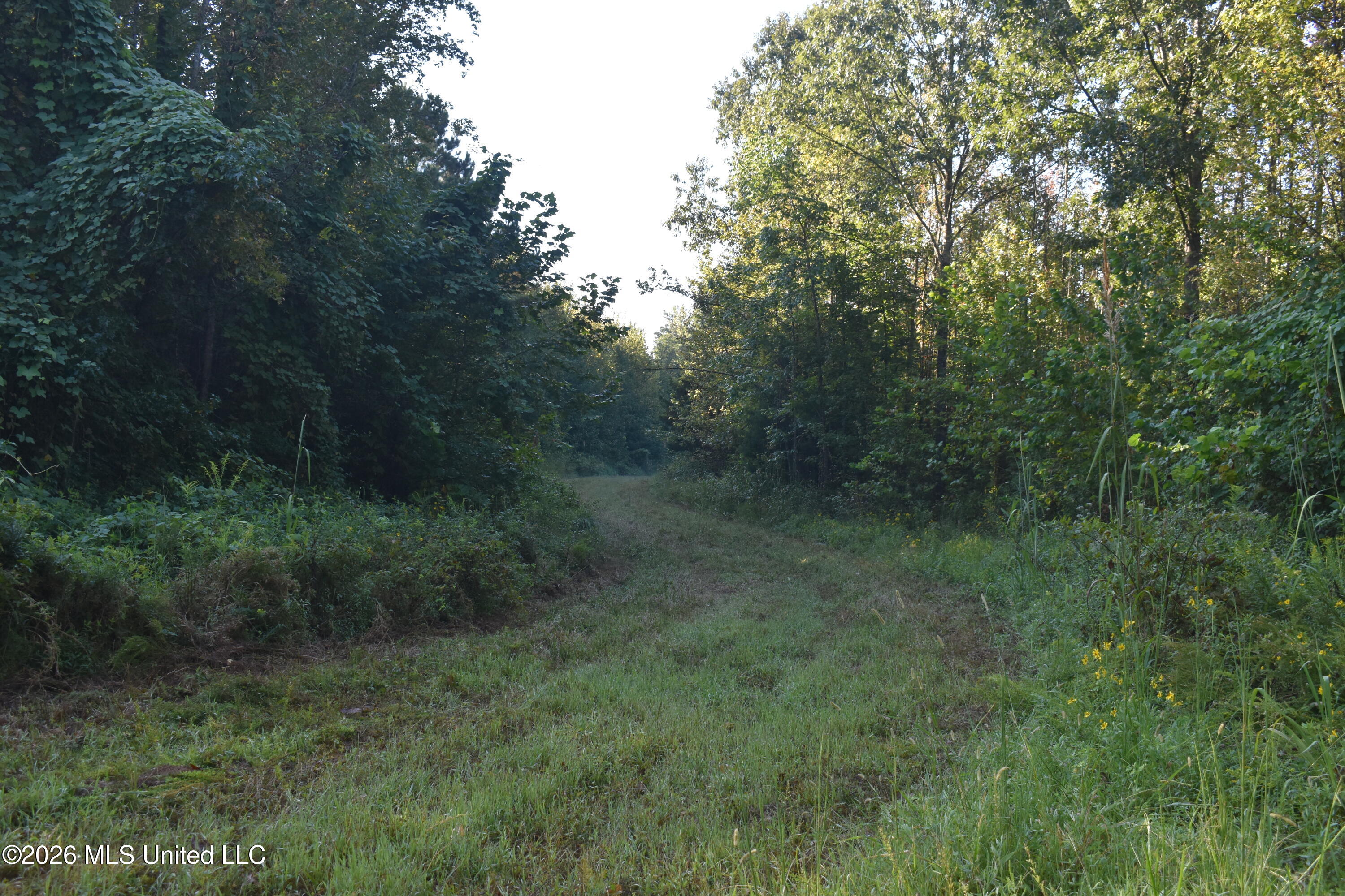 390 Old Panola Rd Property Photo 39