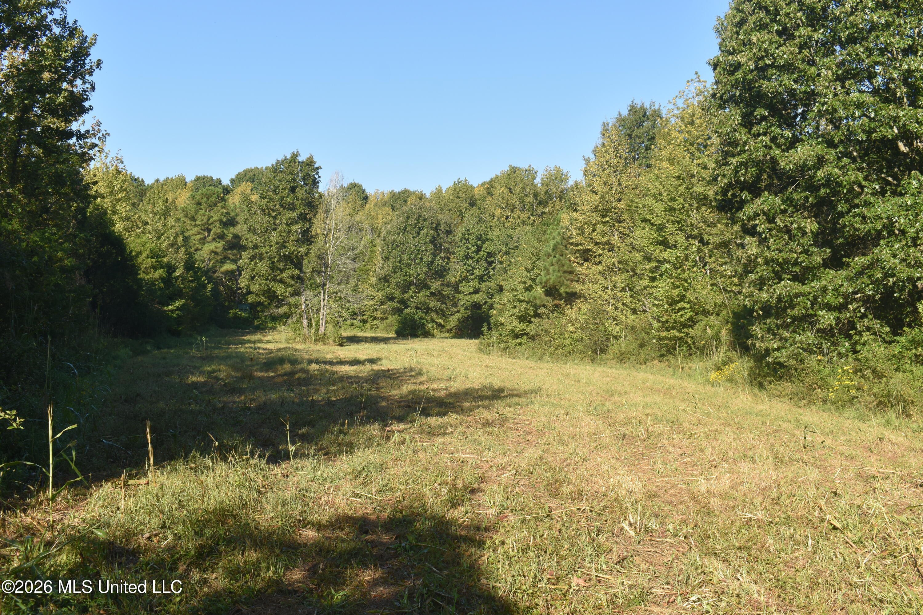 390 Old Panola Rd Property Photo 40