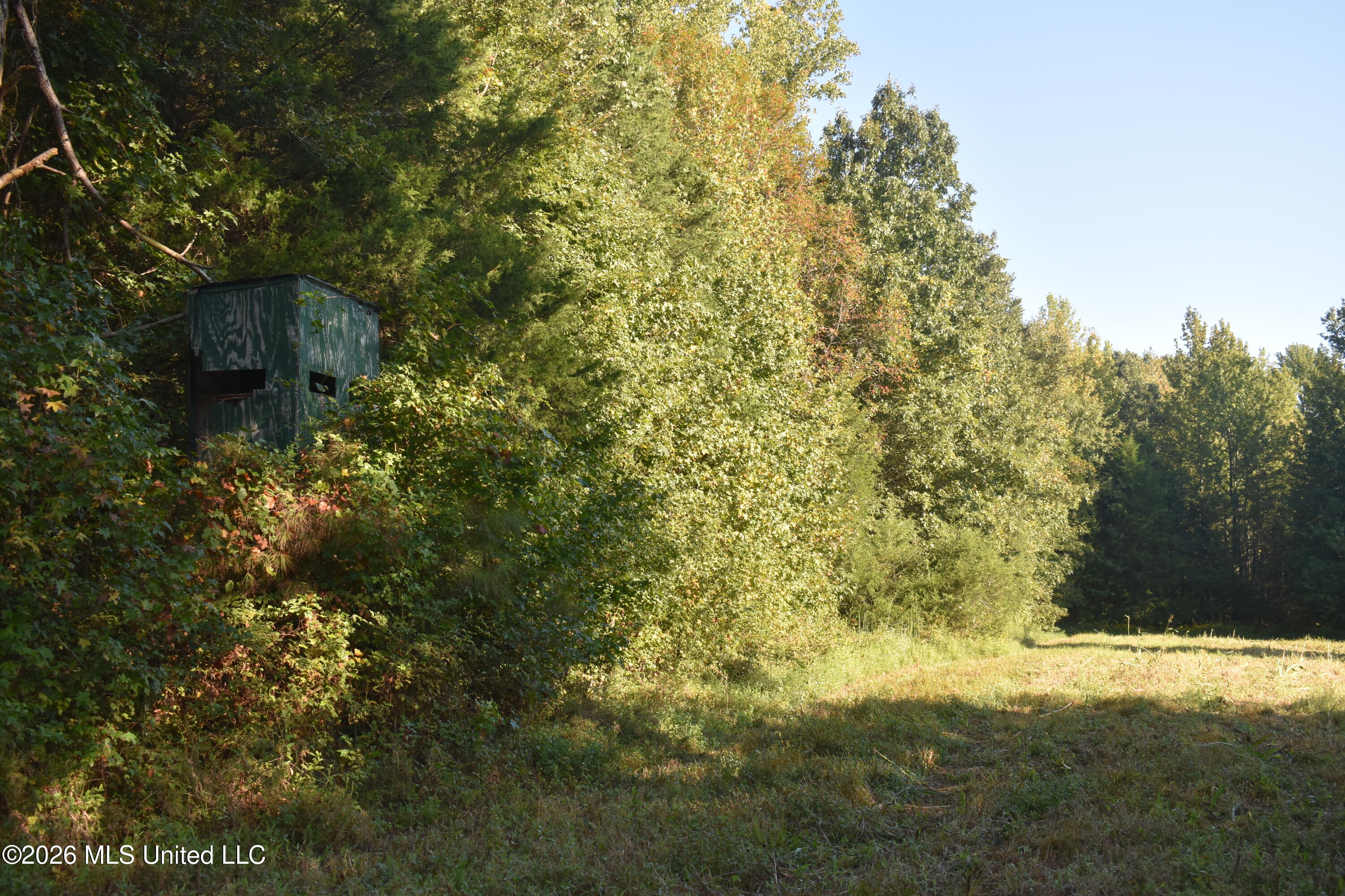 390 Old Panola Rd Property Photo 41