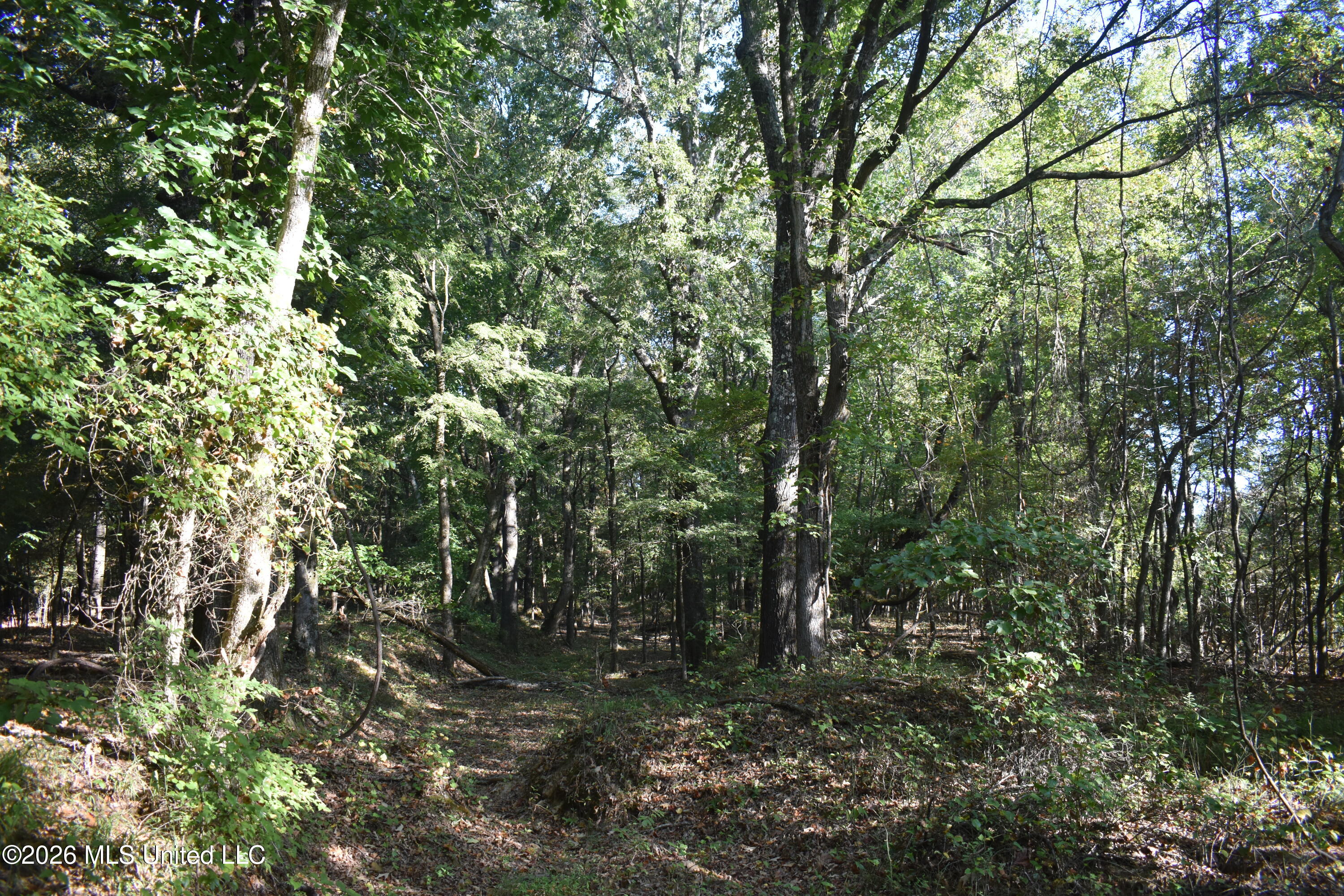 390 Old Panola Rd Property Photo 42