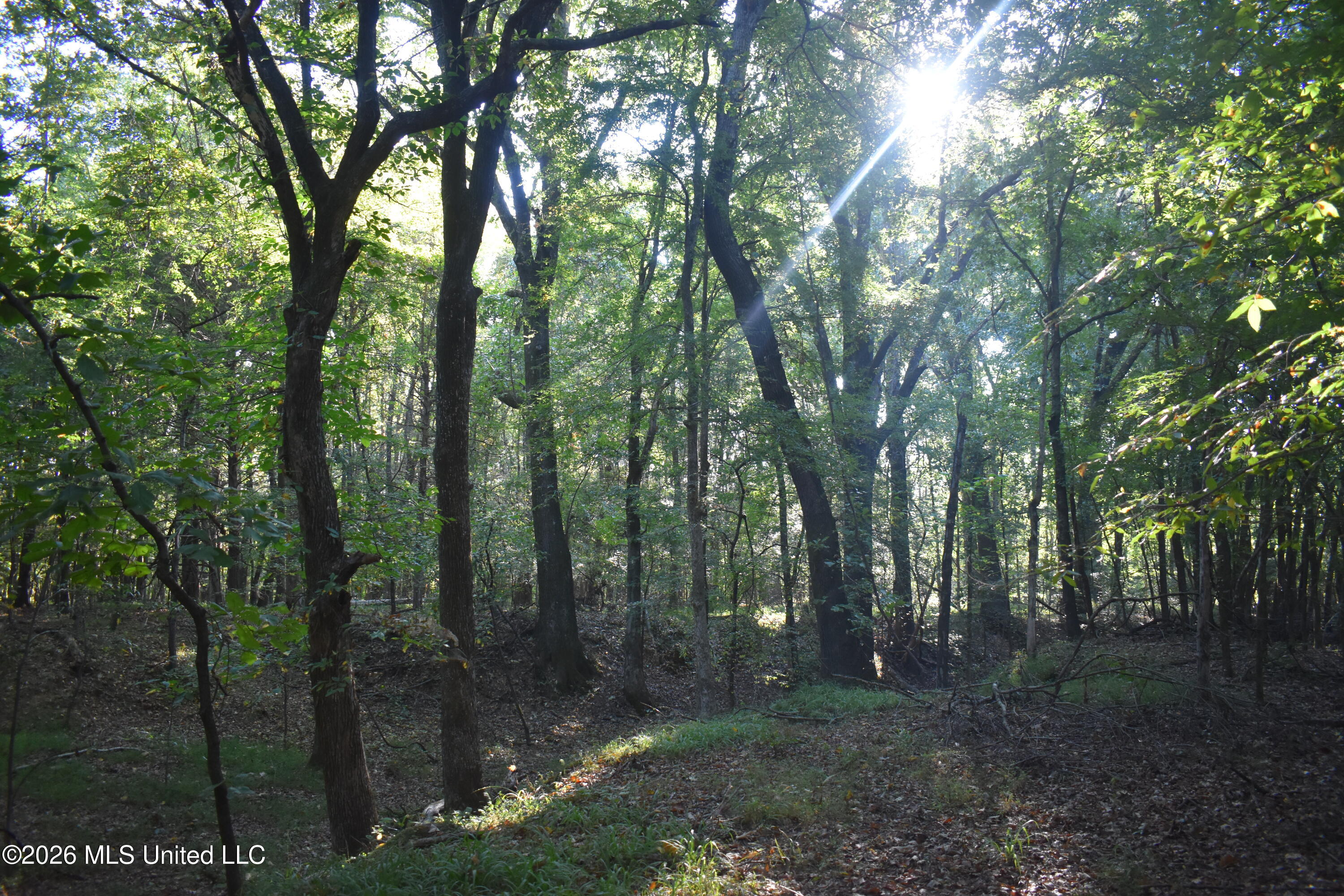 390 Old Panola Rd Property Photo 44